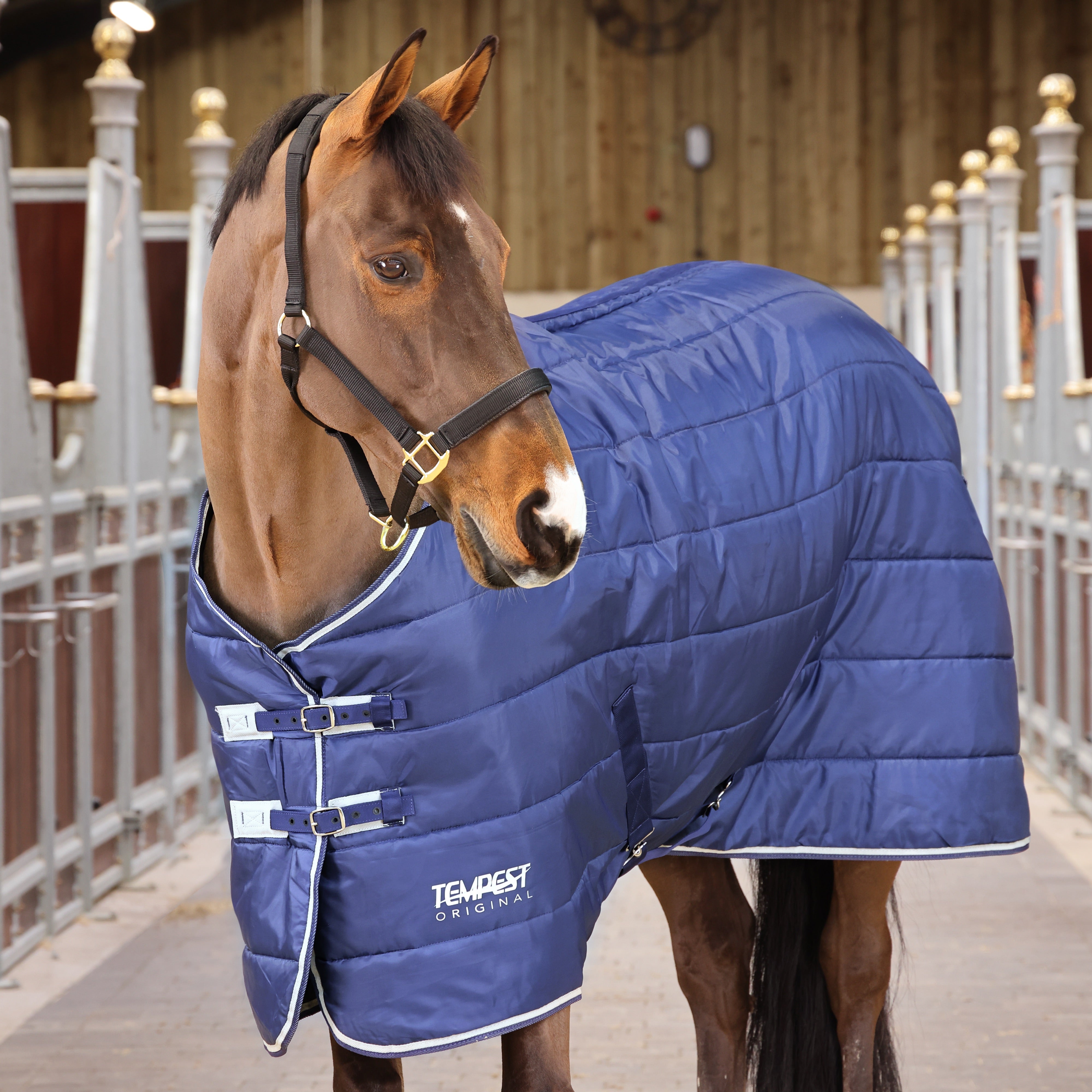 Tempest Original 200 Stable Rug