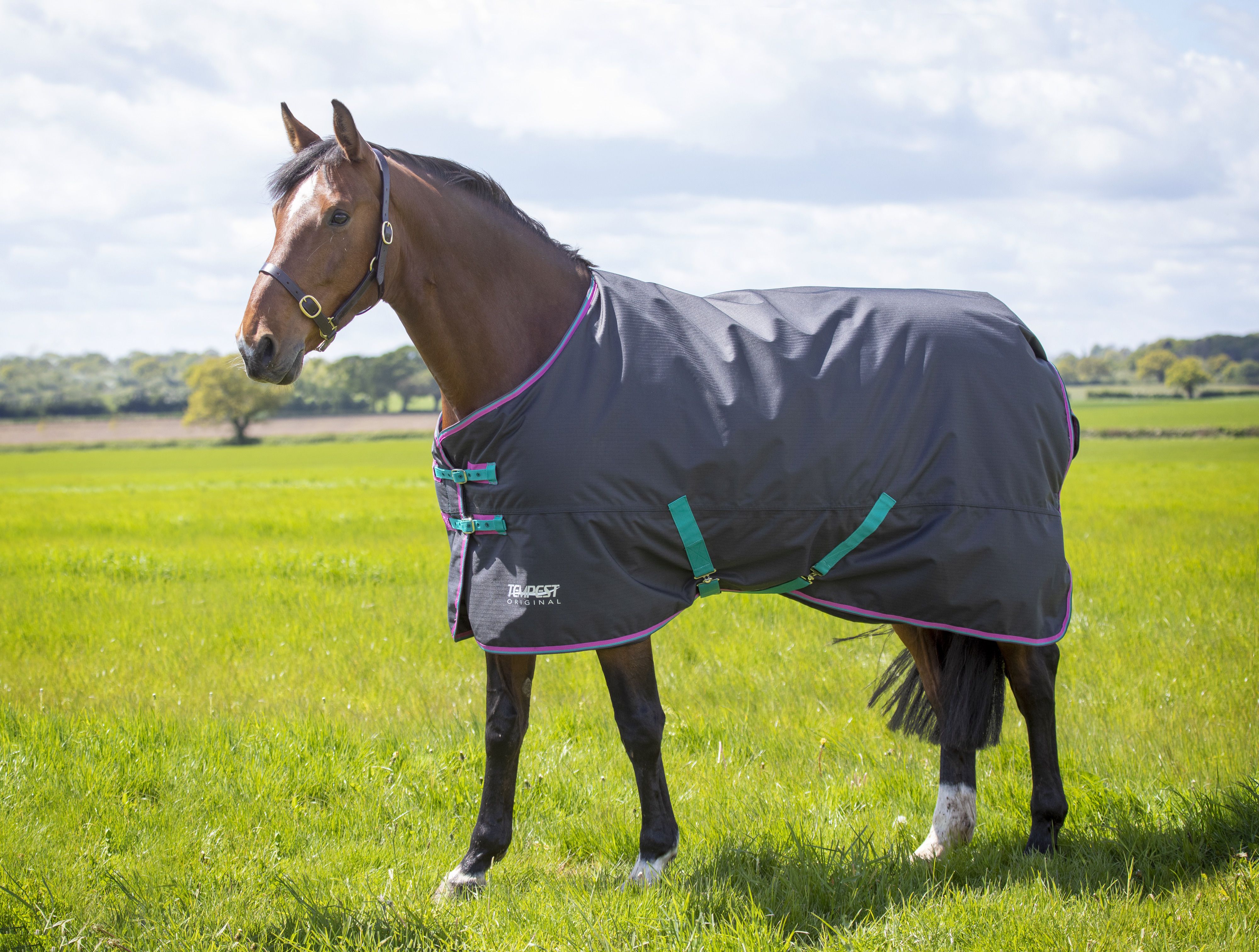 Tempest Original 300 Turnout Rug