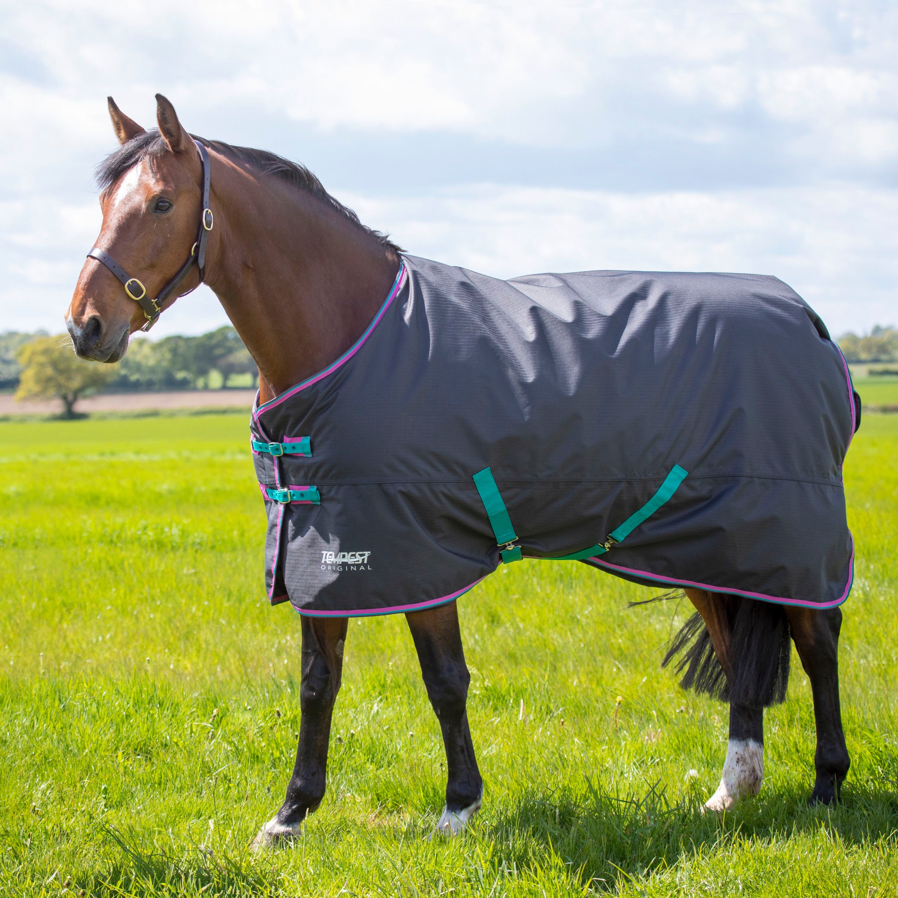 Shires Tempest Impermeable Legere 0g - Le Palais des Chevaux Shires Tempest Impermeable Legere 0g - Le Palais des Chevaux