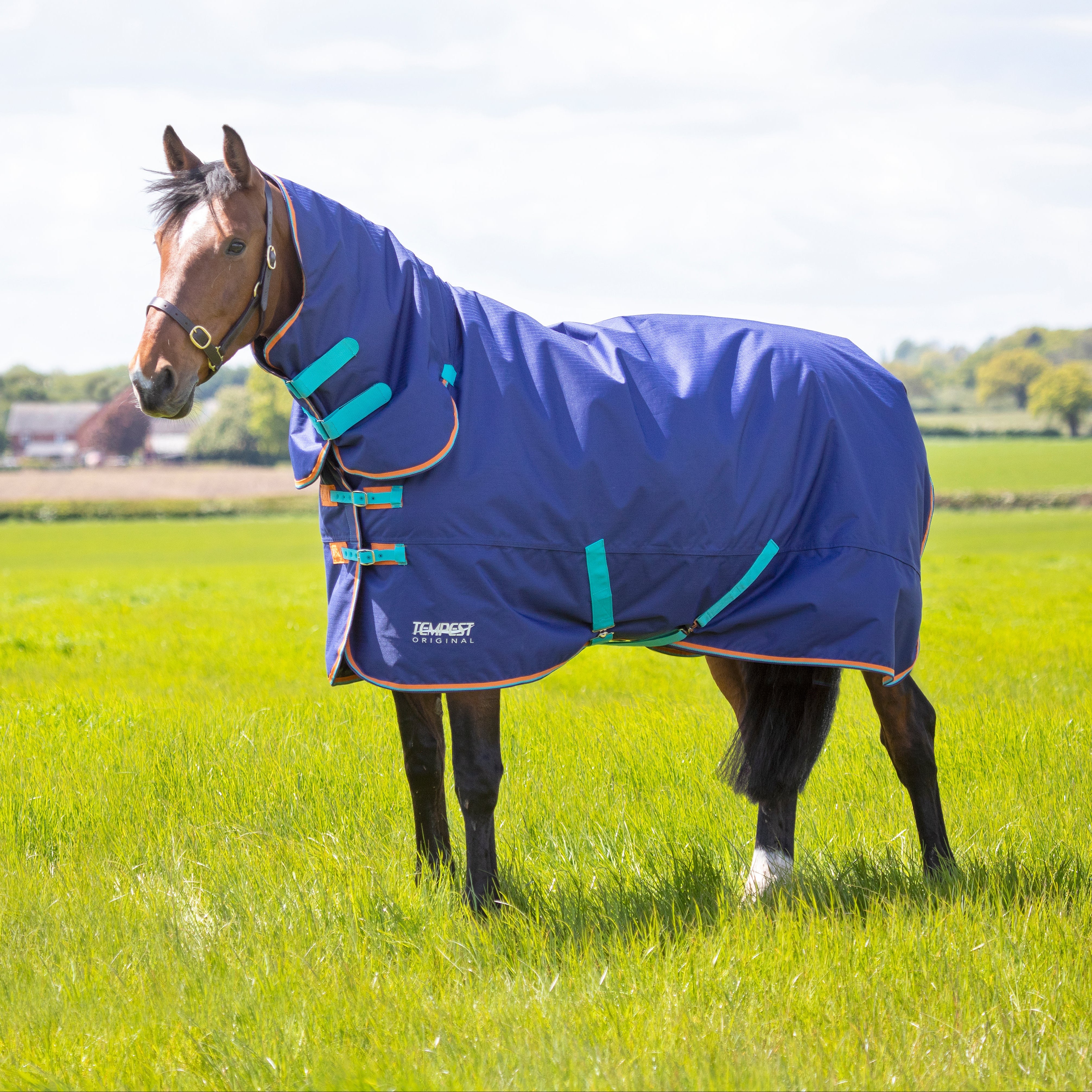 Tempest Original 100 Turnout Combo Rug