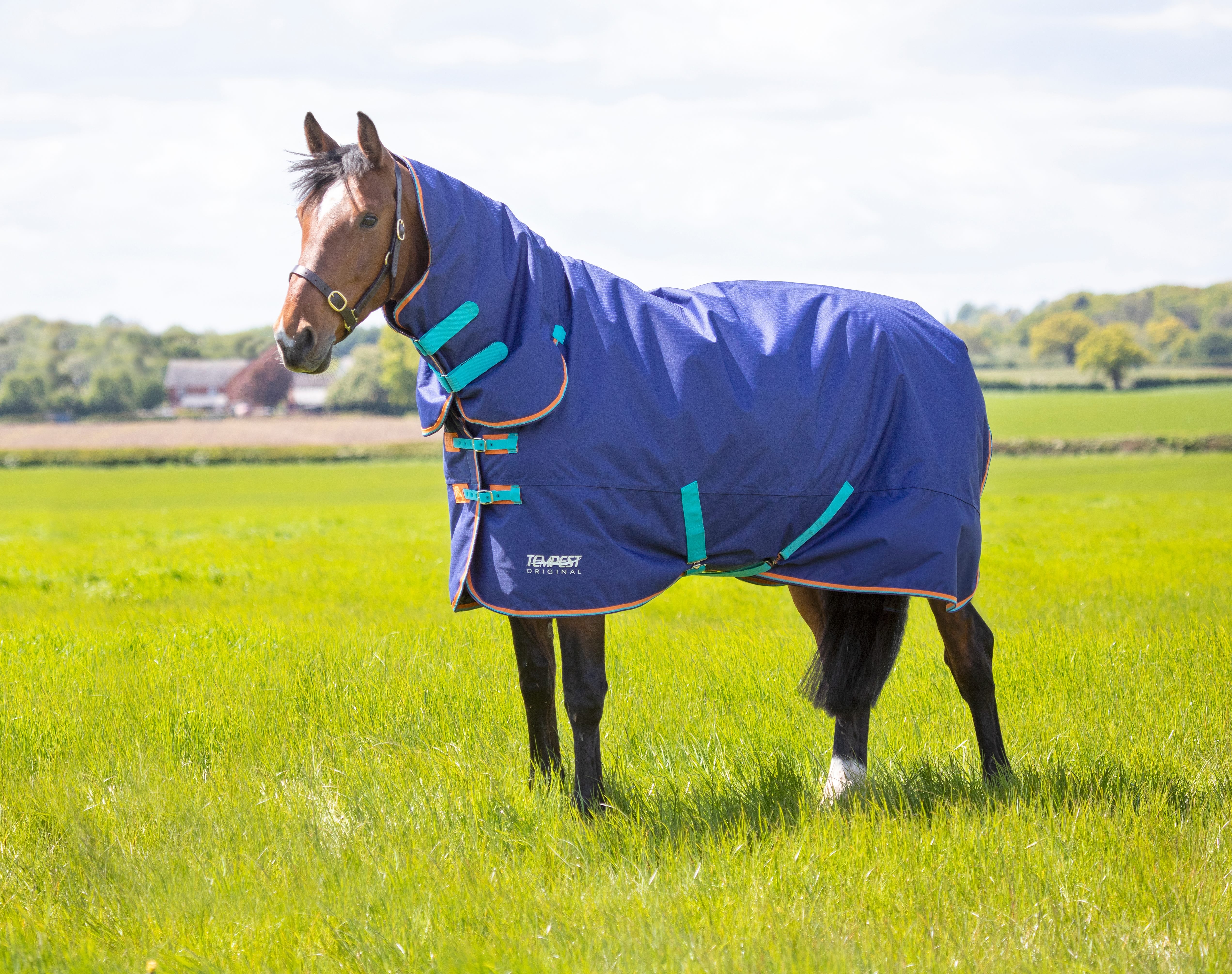 Tempest Original 100 Turnout Combo Rug