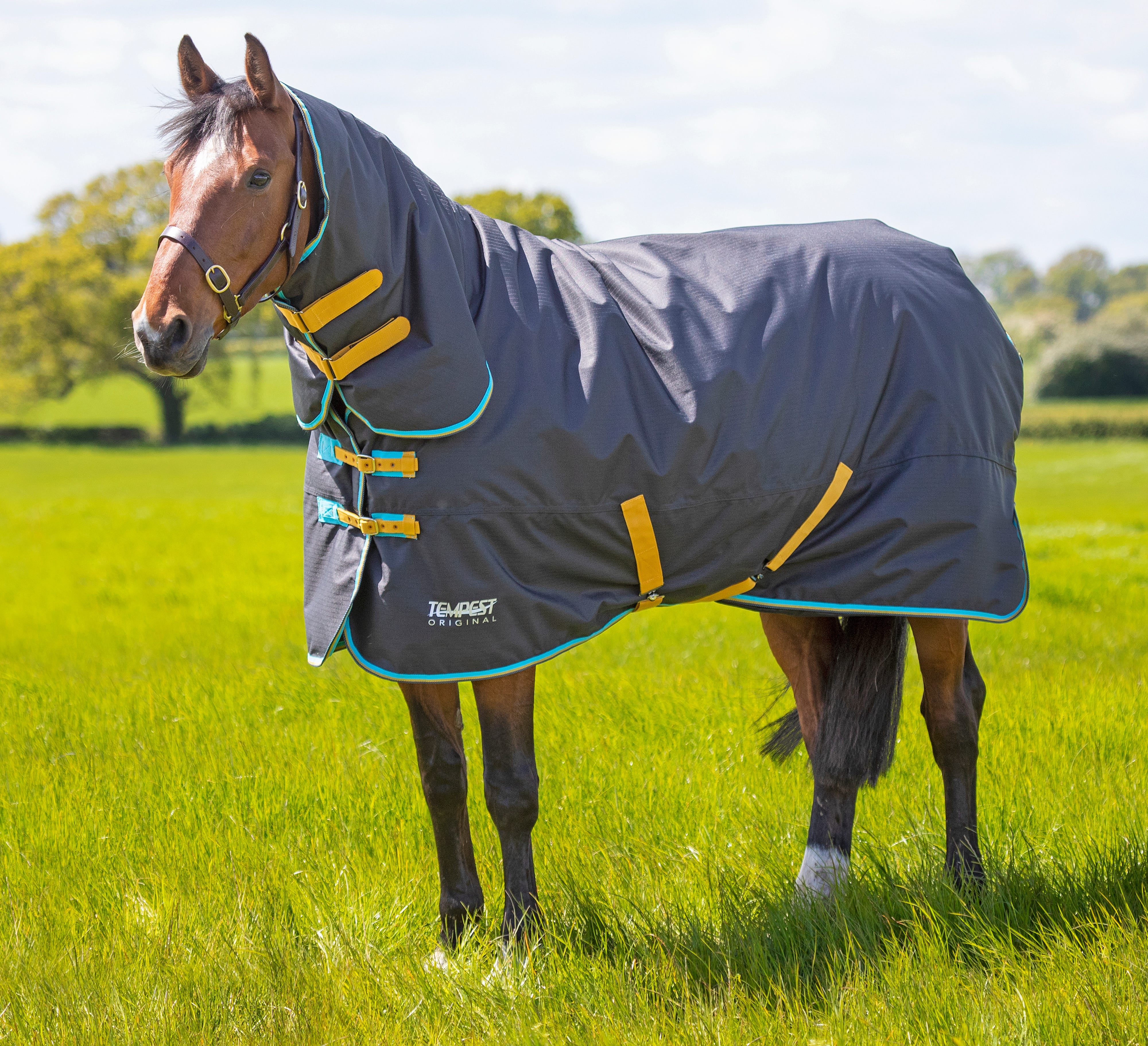 Tempest Original 300 Turnout Combo Rug