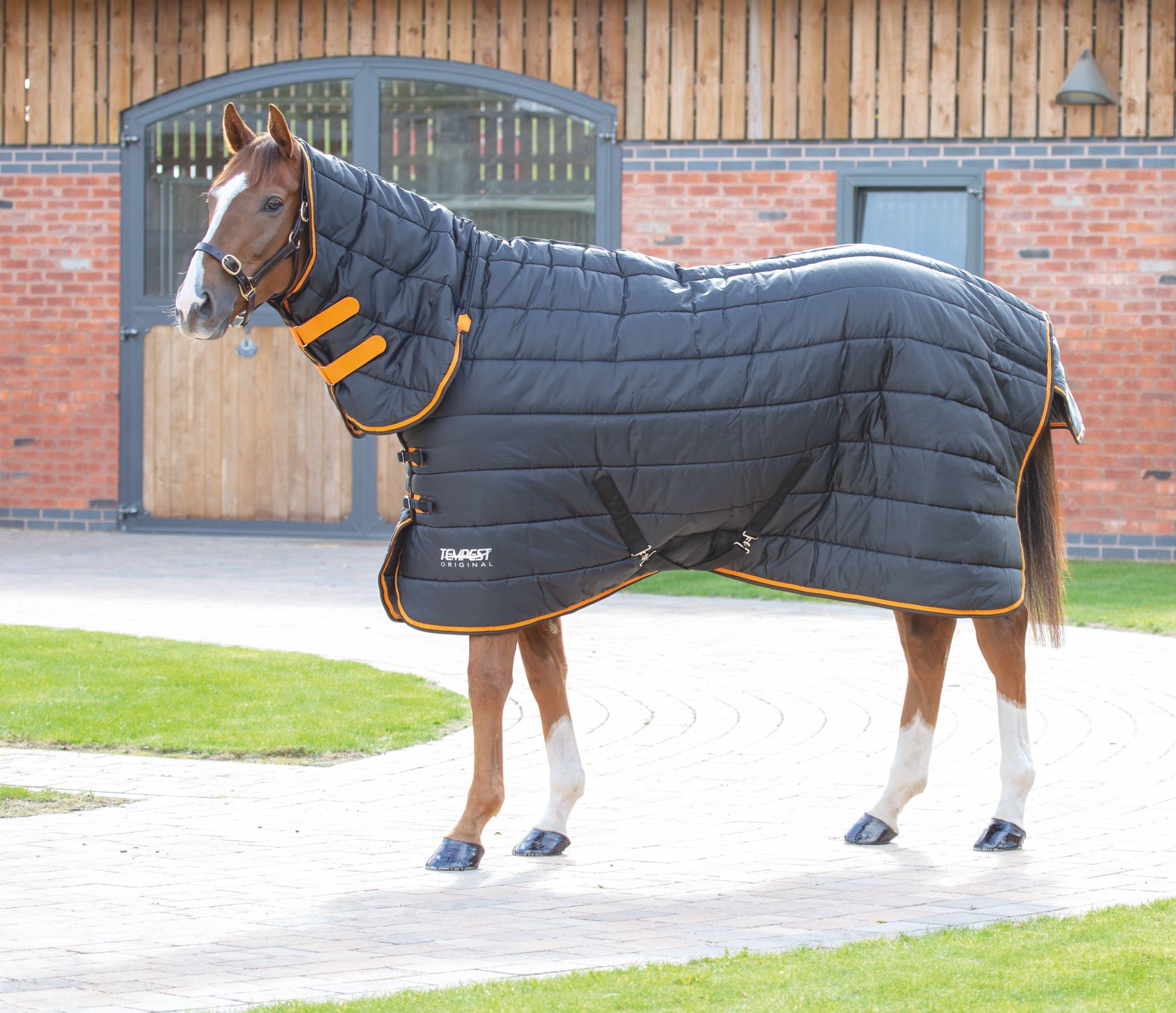 Tempest Original 300 Stable Combo Rug