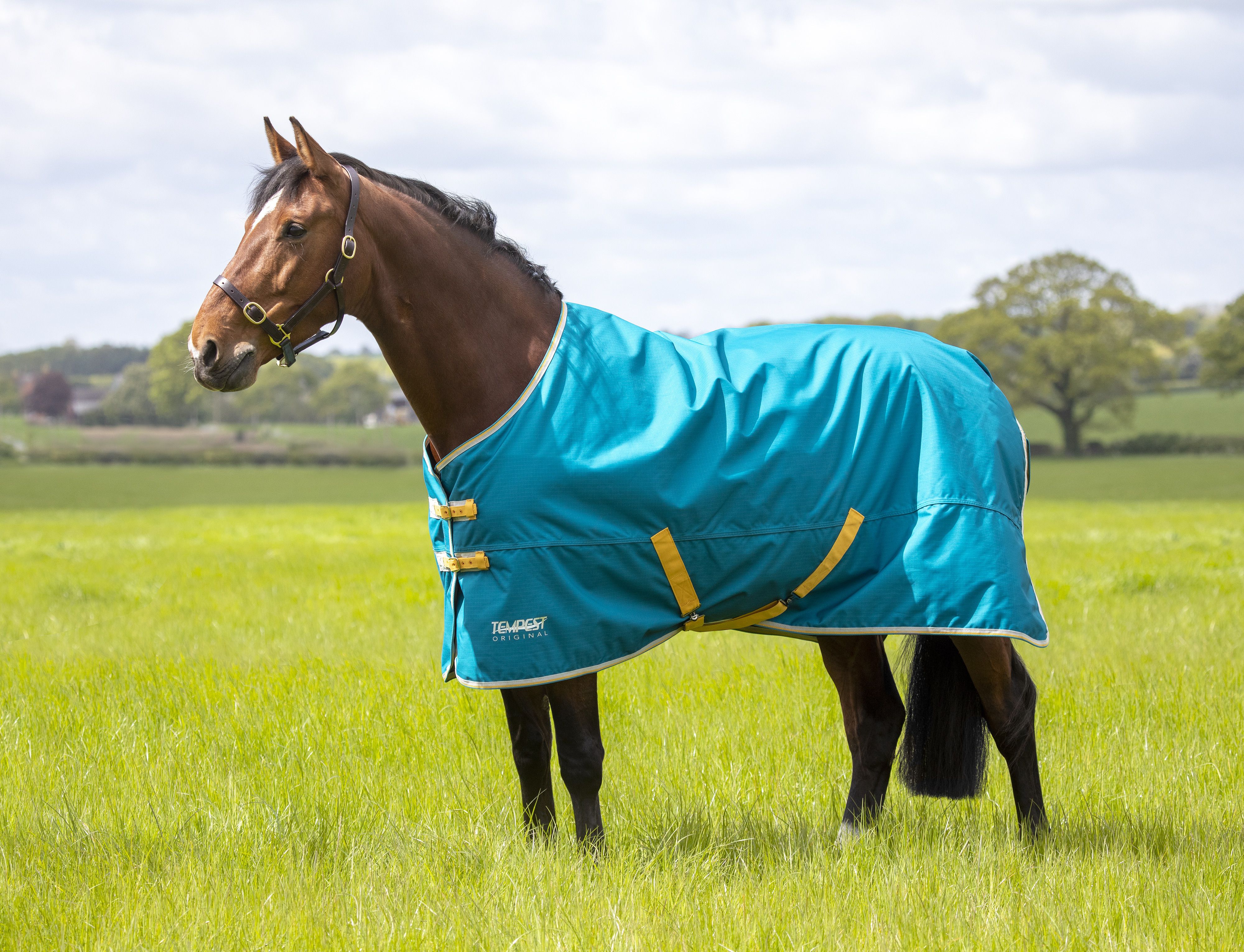 Tempest Original 50 Turnout Rug