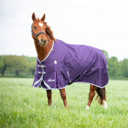 Highlander Original 100 Turnout Rug