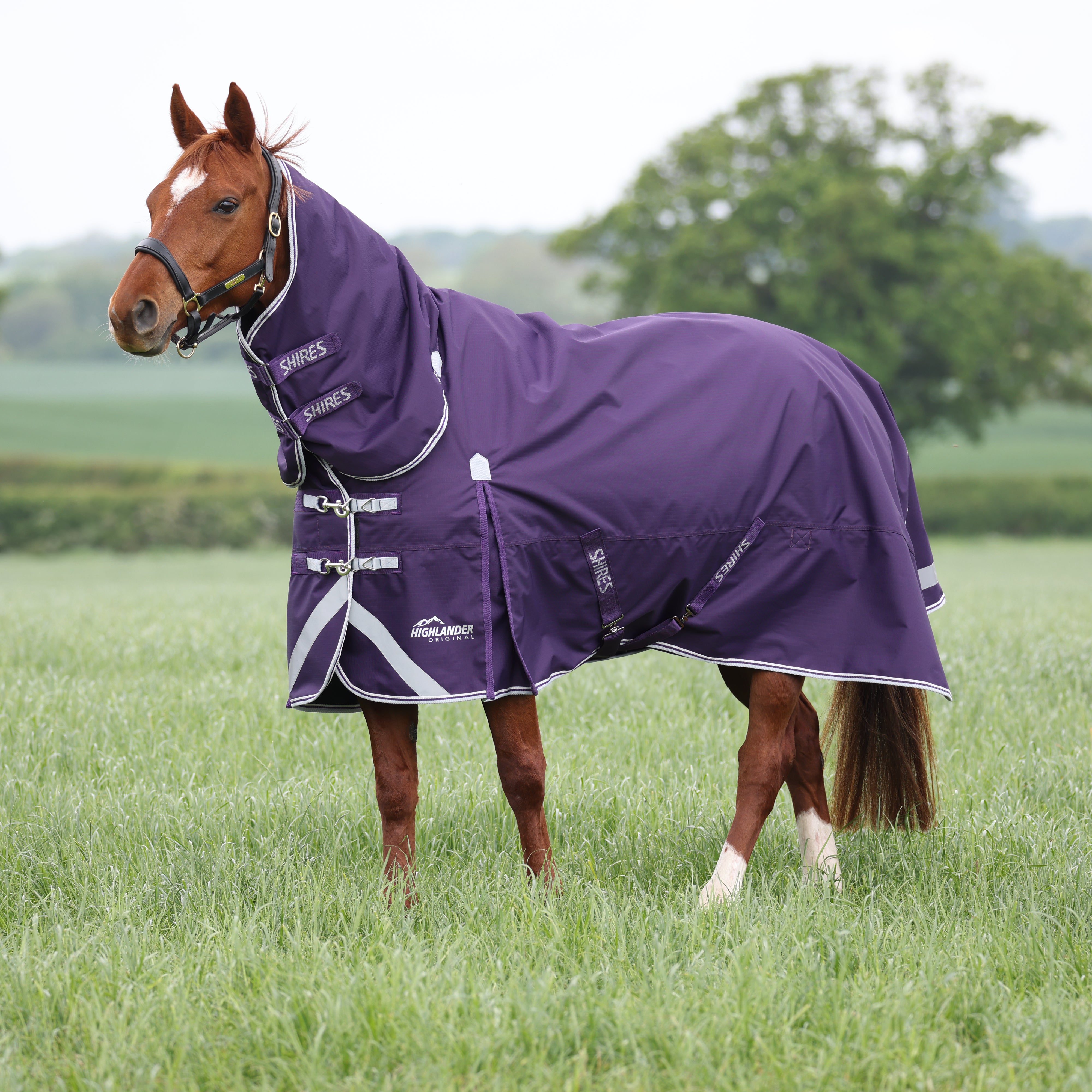 Highlander Original 100 Turnout Combo Rug