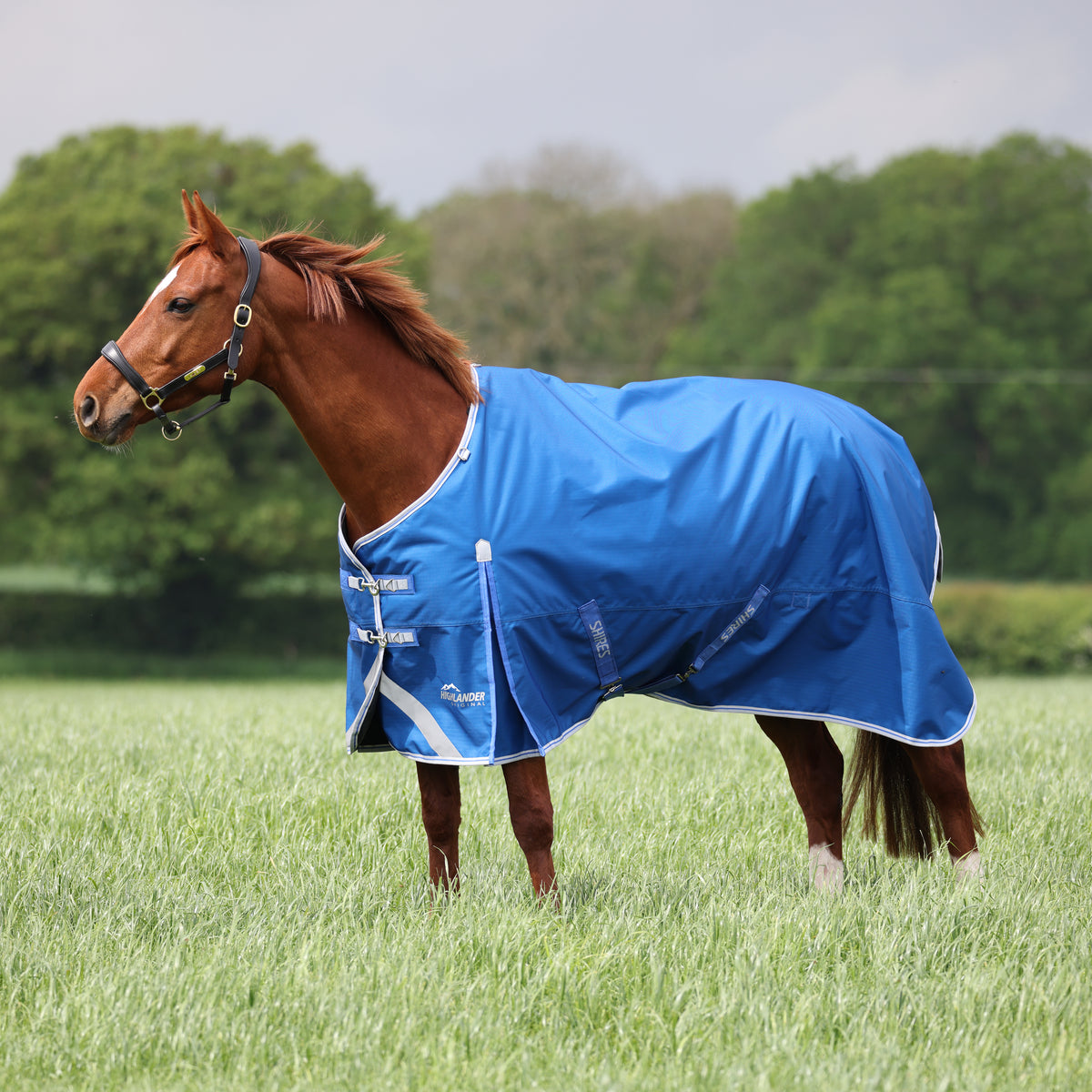 200g Turnout Rugs 200g-turnout-rugs