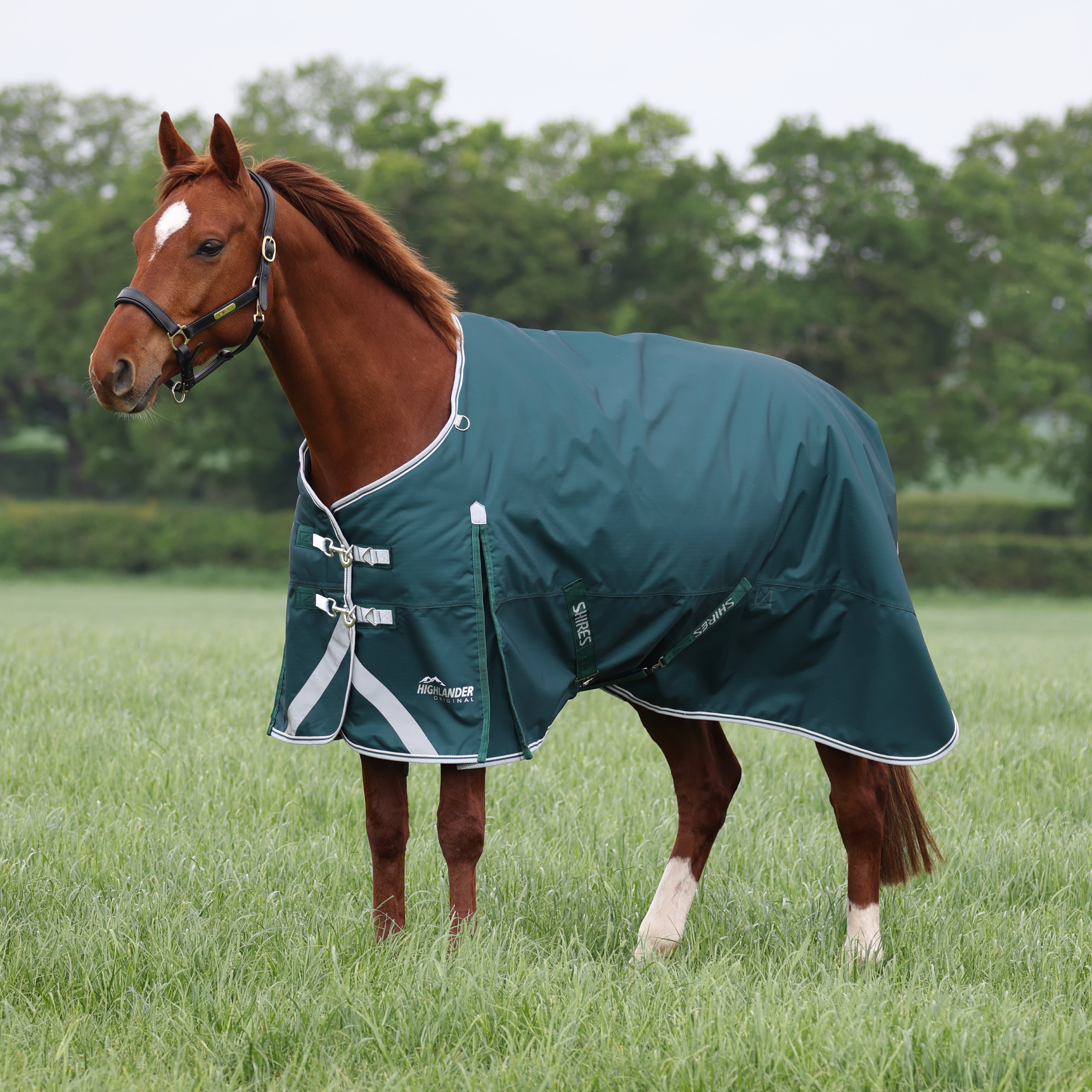 Highlander Original 300 Turnout Rug