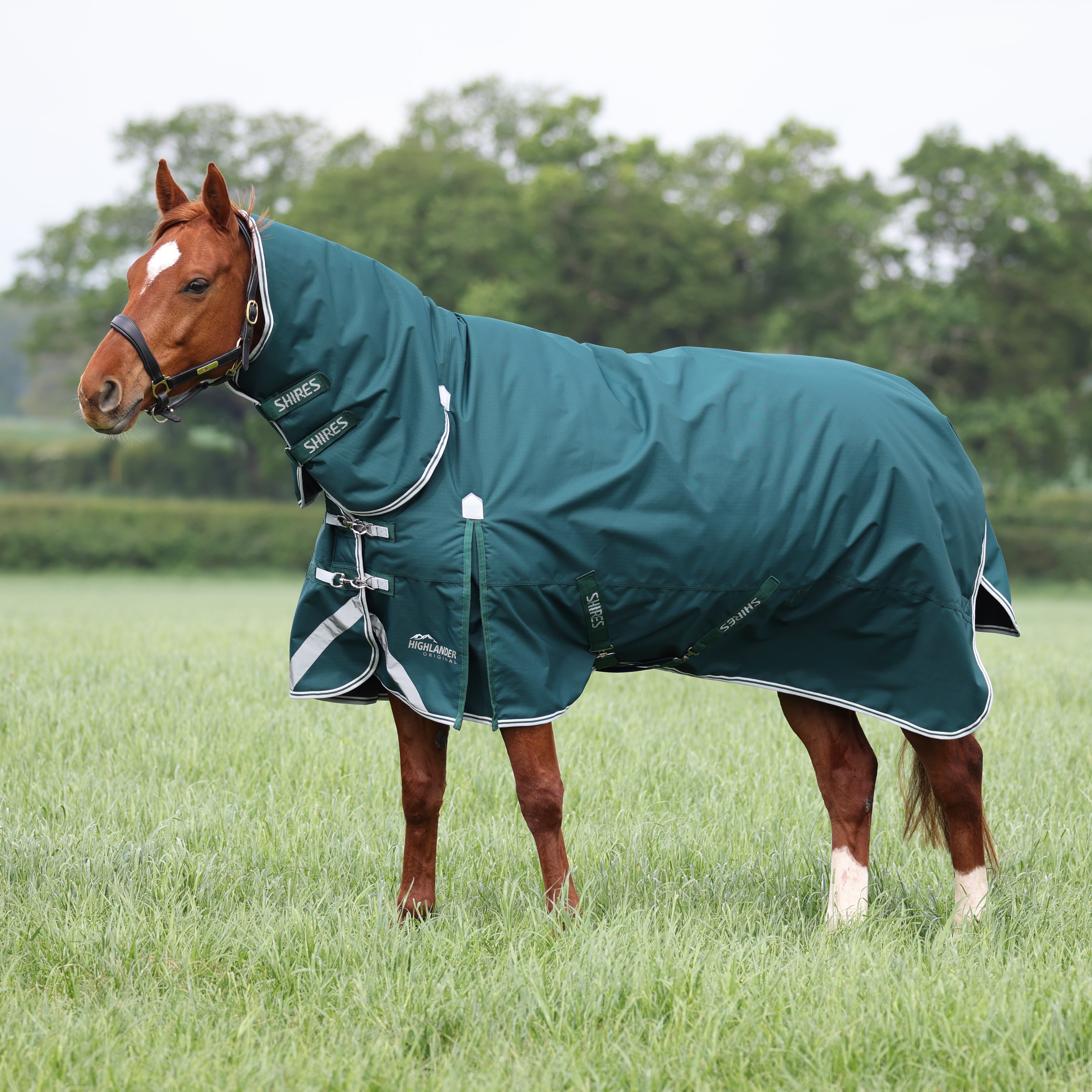 Highlander Original 300 Turnout Combo Rug