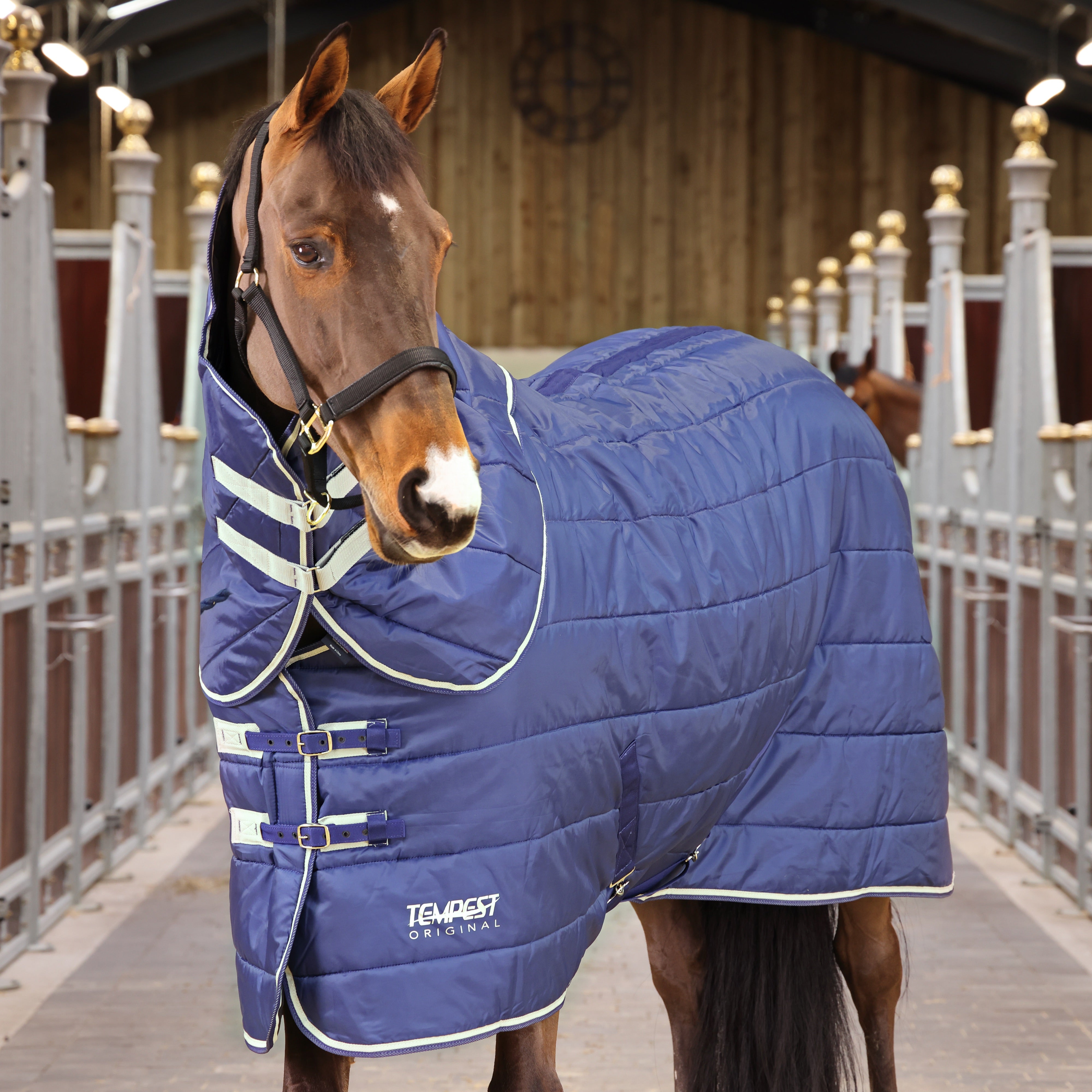 Tempest Original  200 Stable Rug Set