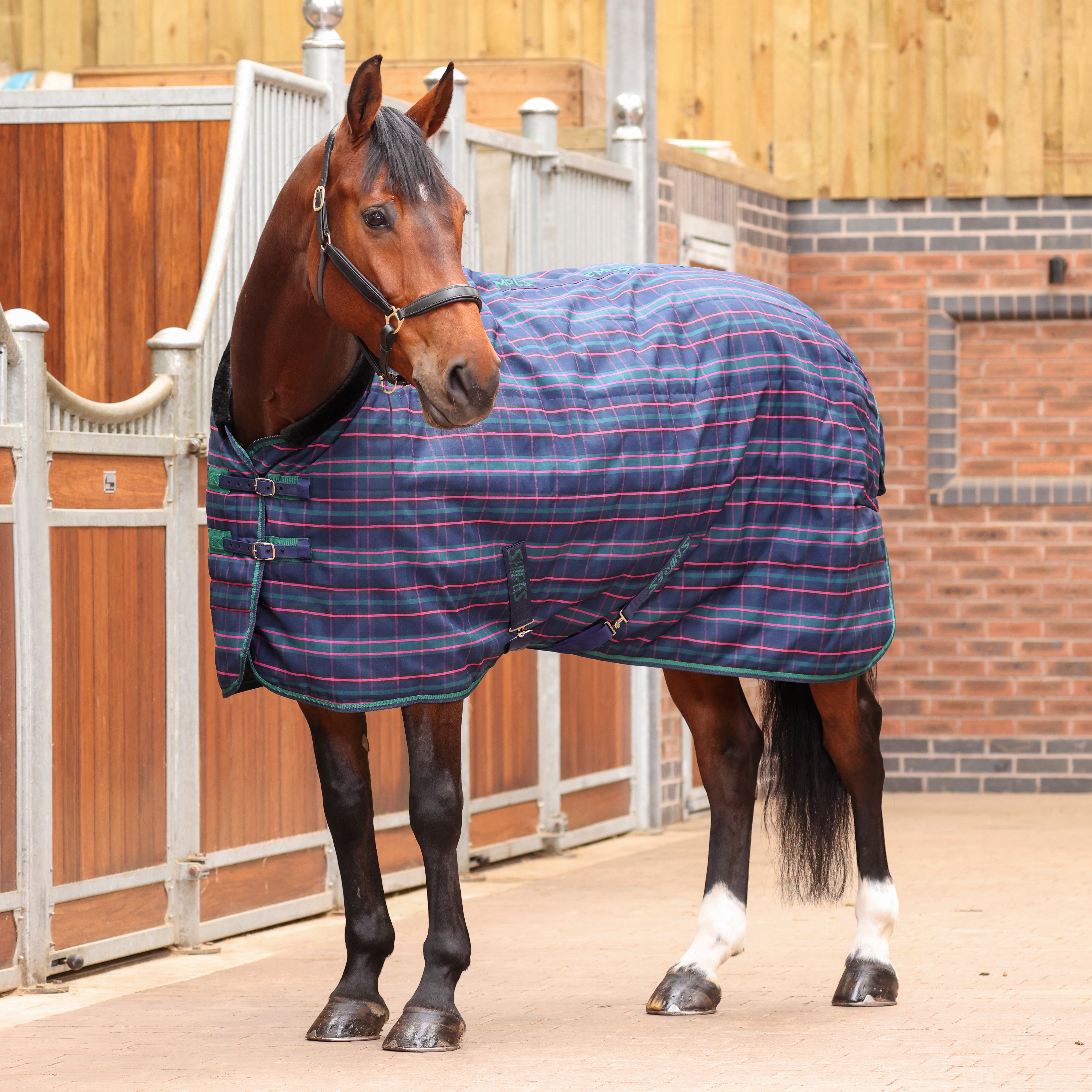 Tempest Plus 100 Stable Rug