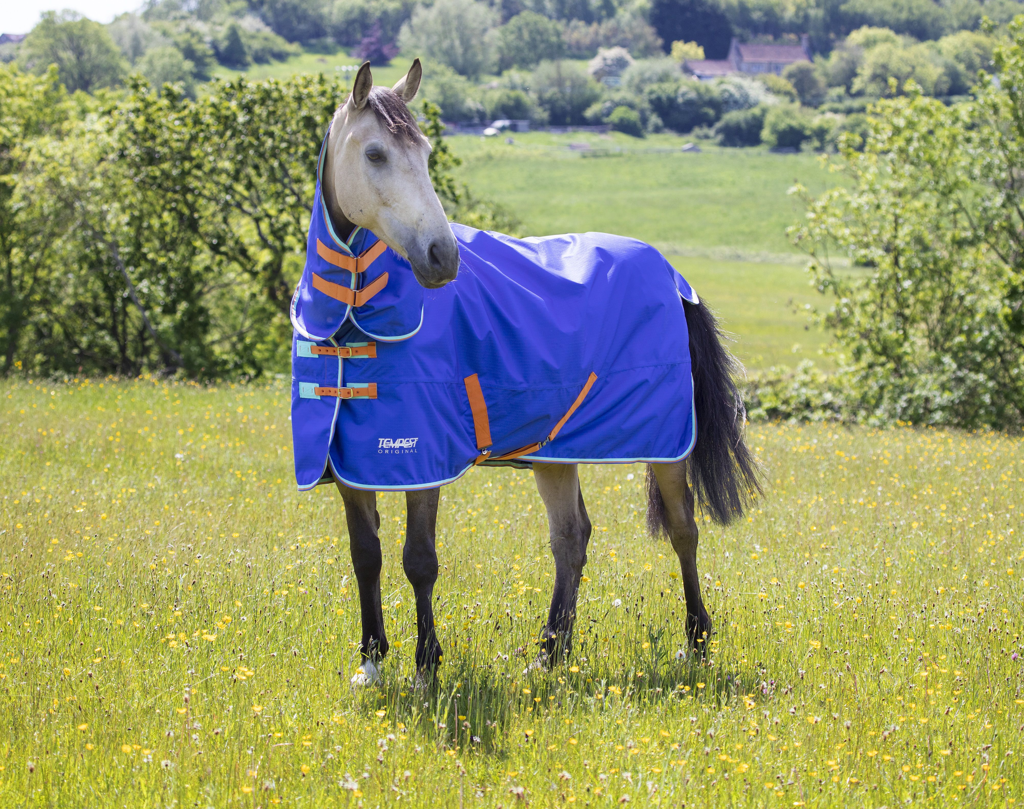 Tempest Original 50 Combo Turnout Rug