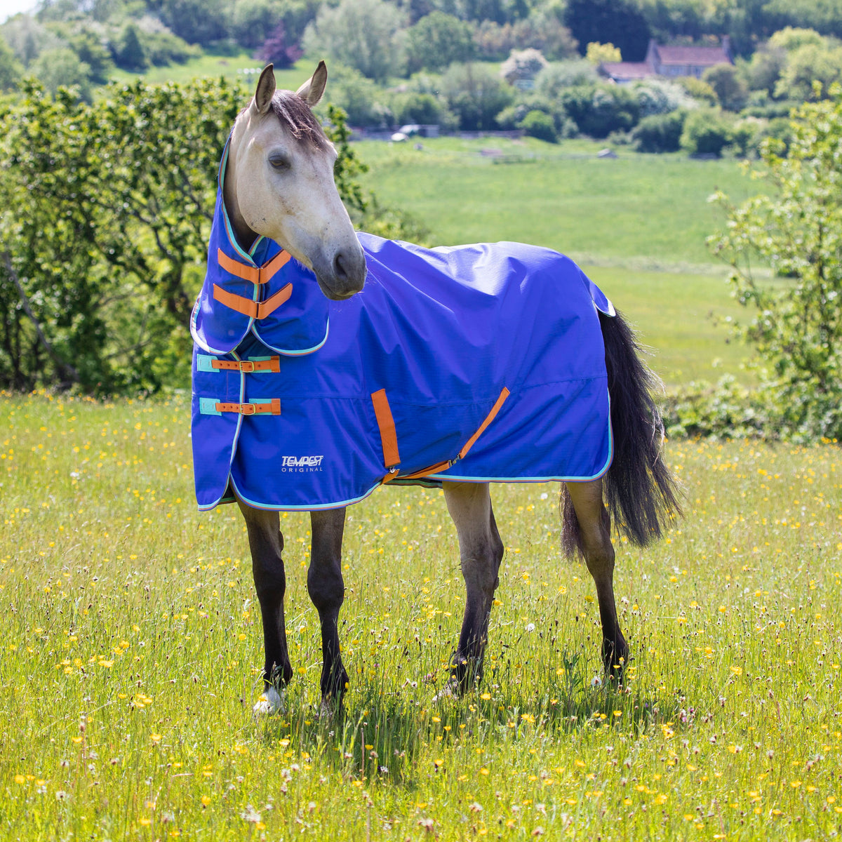 Turnout Rug Fun Pattern 50g Turnout Rugs