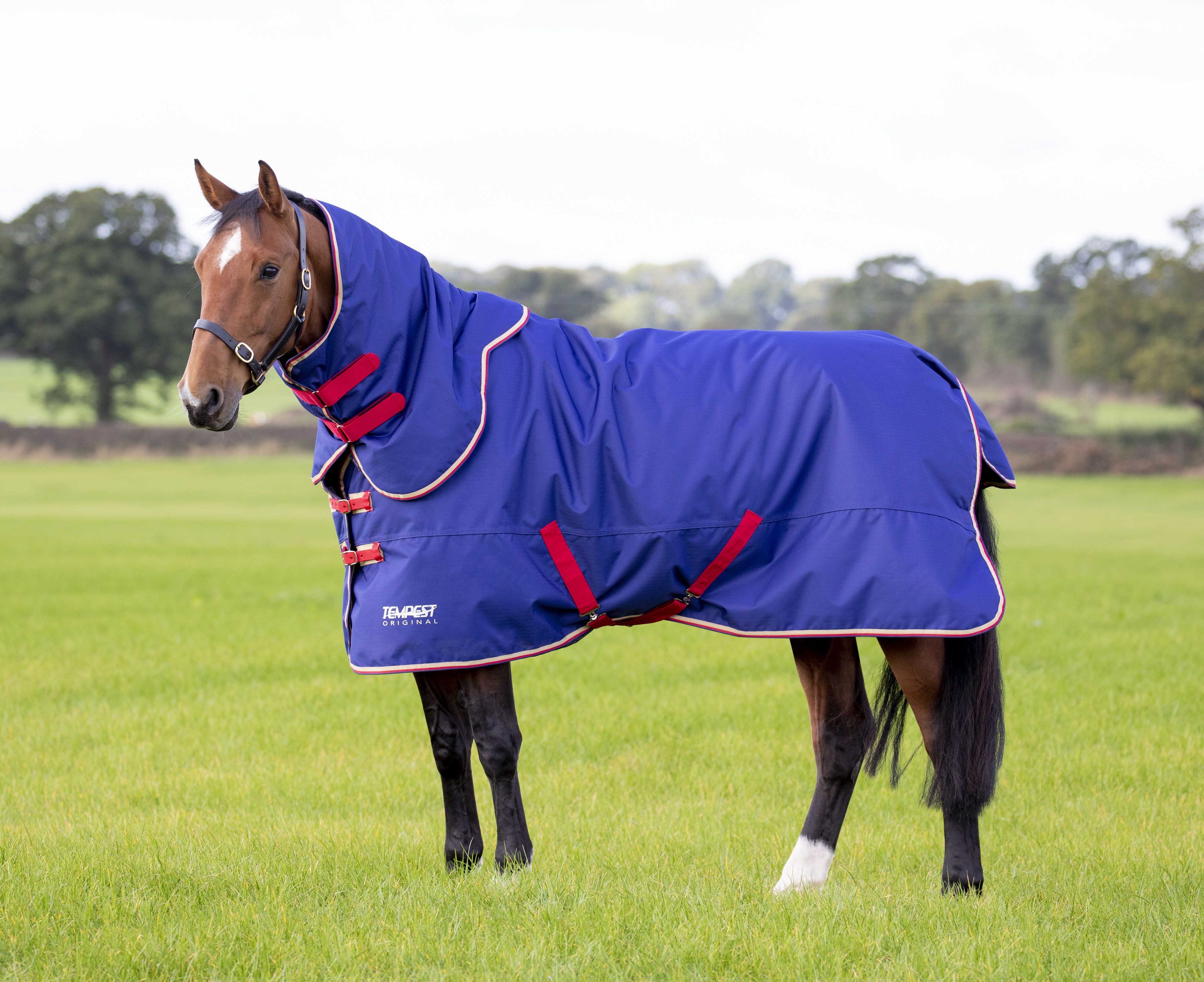 Tempest Original 100 Turnout Rug & Neck