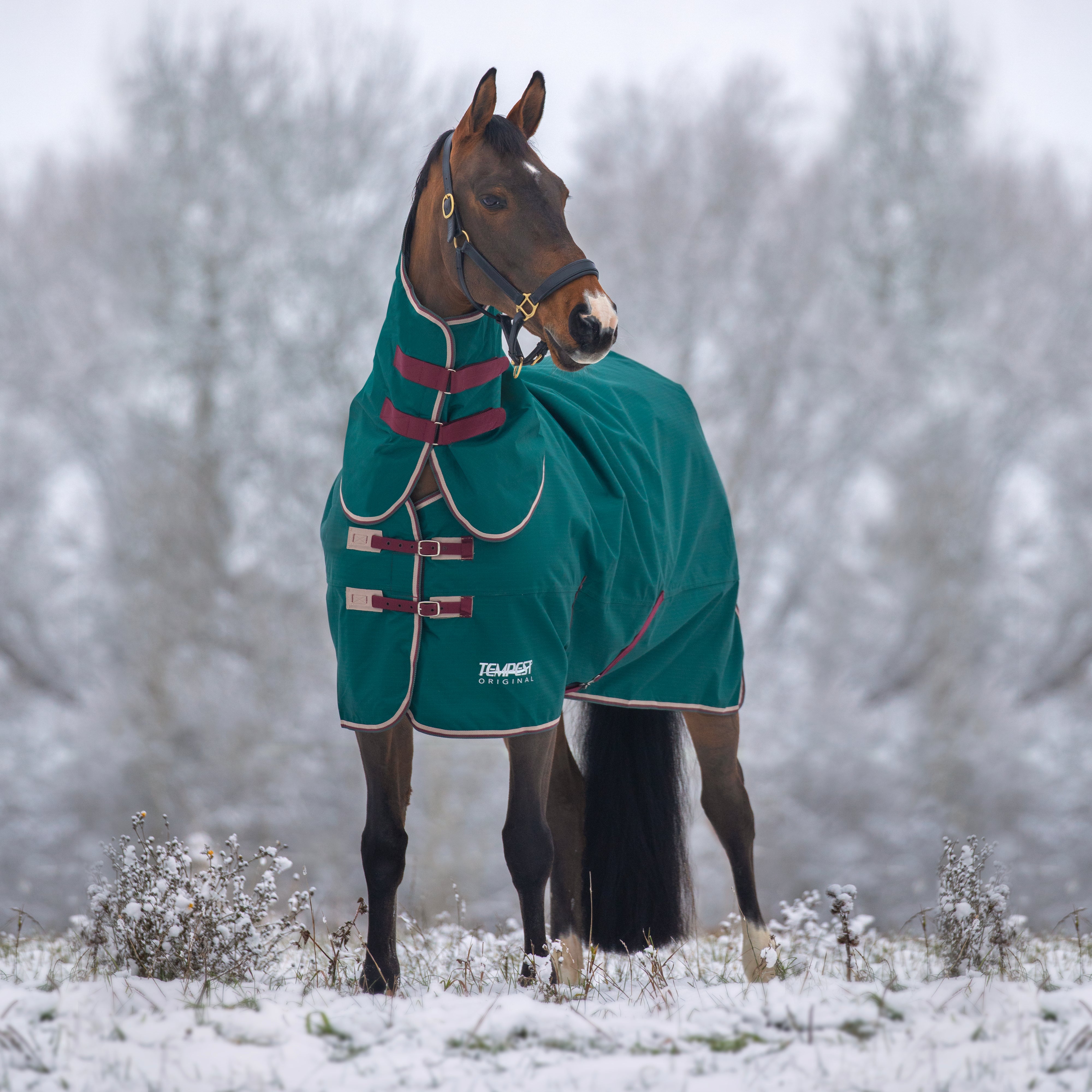 Tempest Original 200 Turnout Rug & Neck