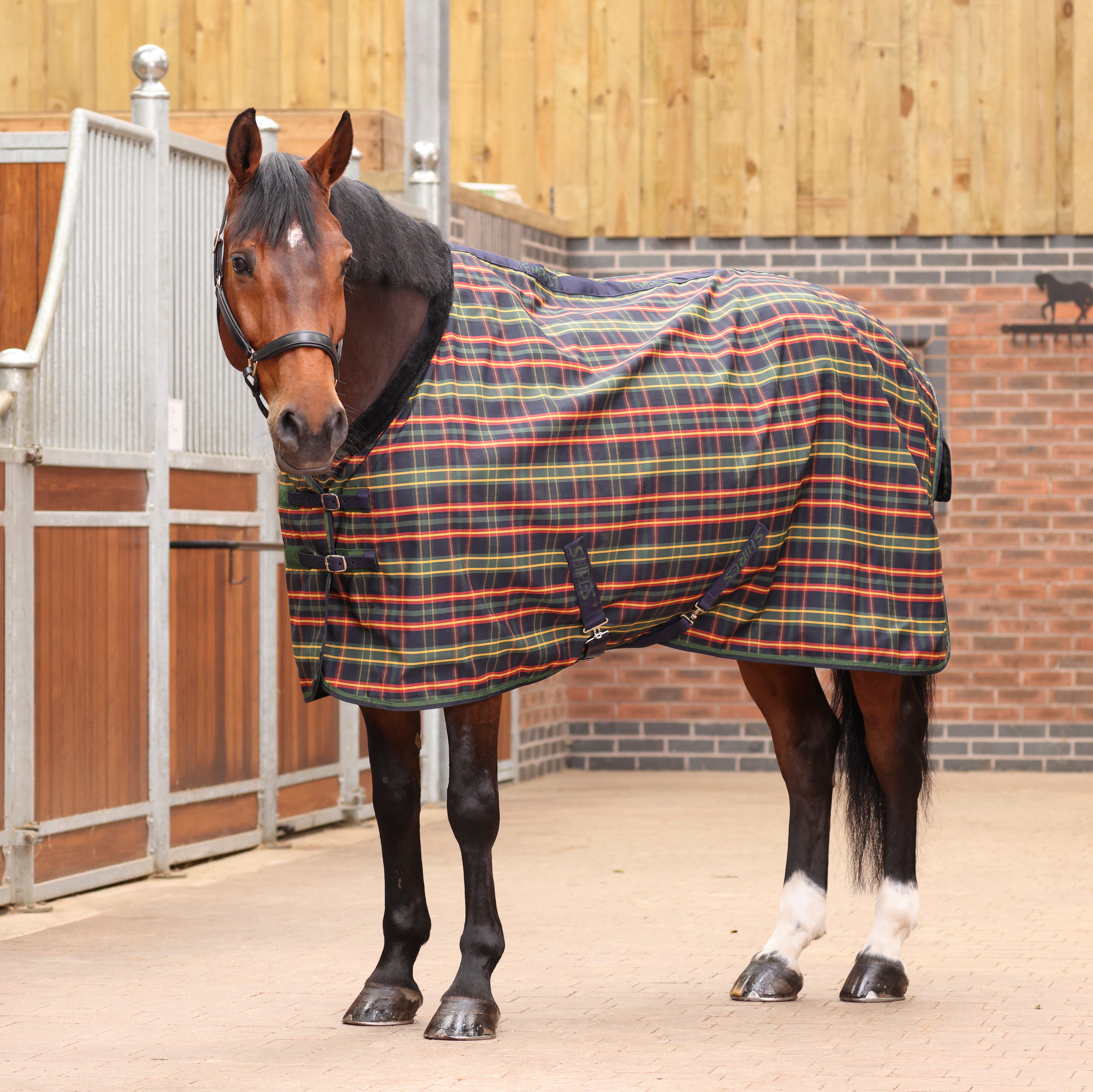 Tempest Plus Lite Stable Rug