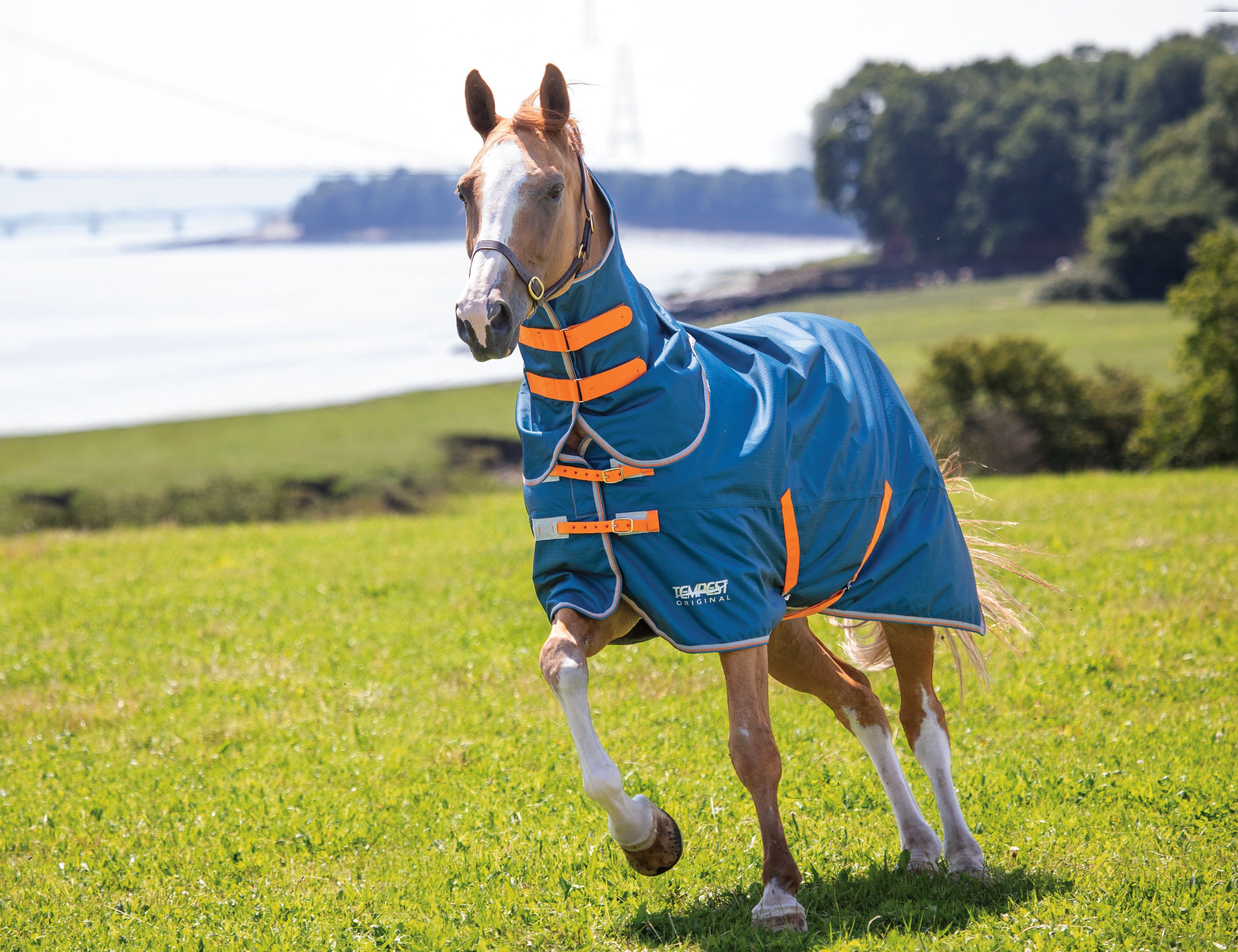 Tempest Original Lite Turnout Rug & Neck