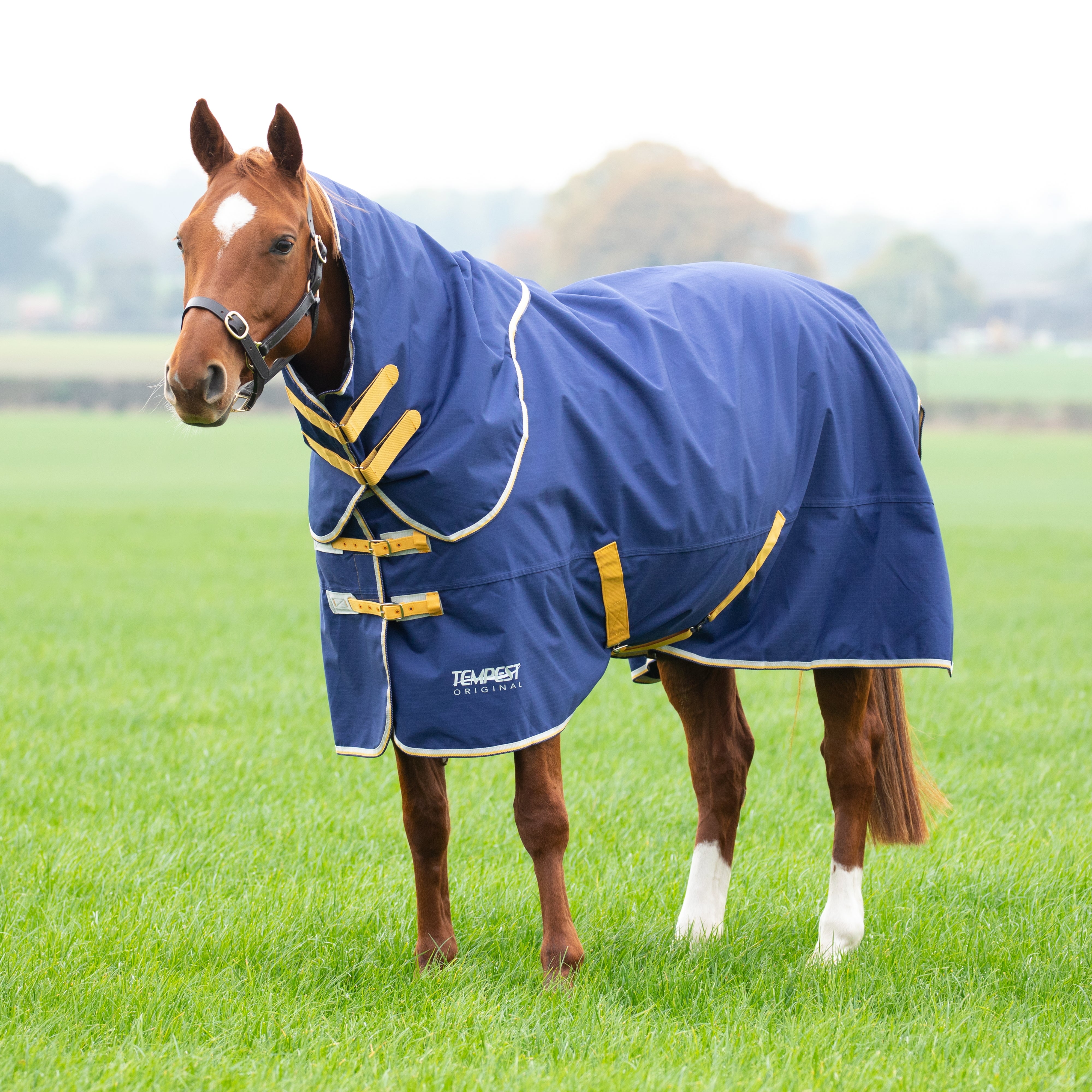 Tempest Original 50 Turnout Rug & Neck