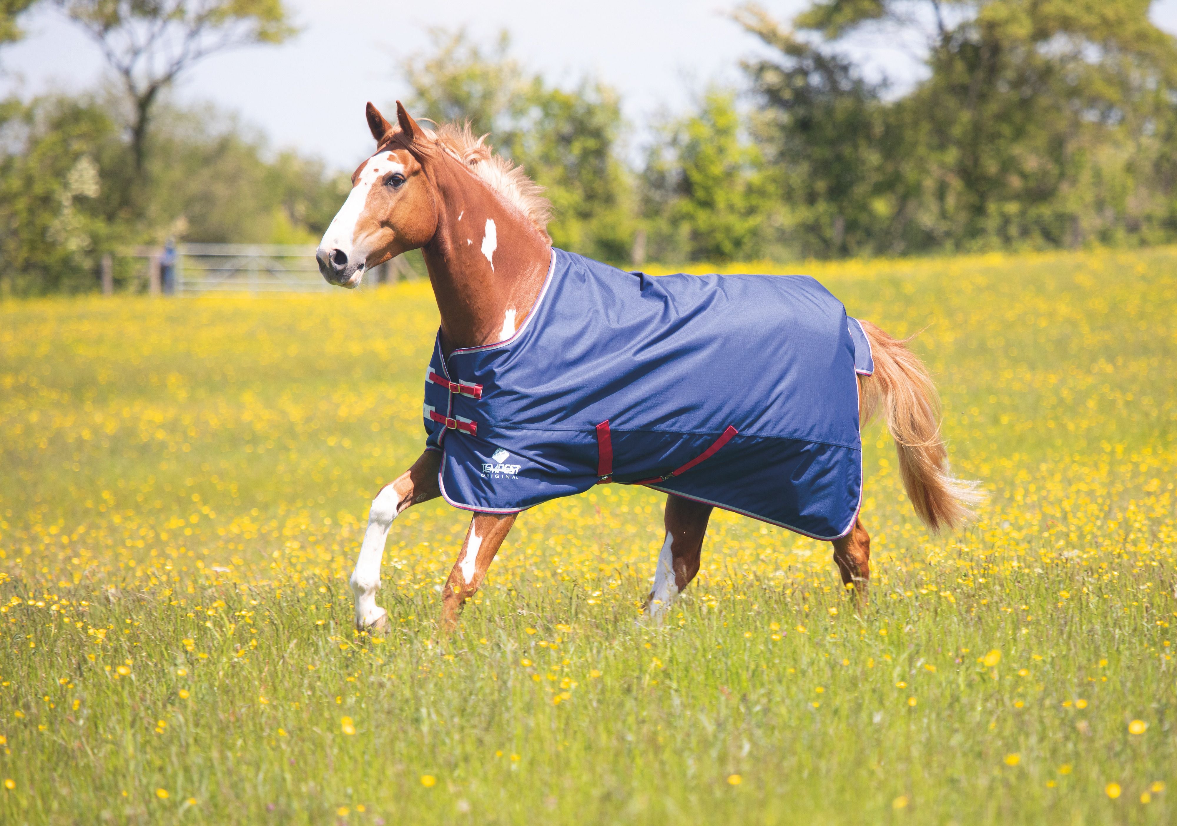 Tempest Original Air Motion Turnout  Rug