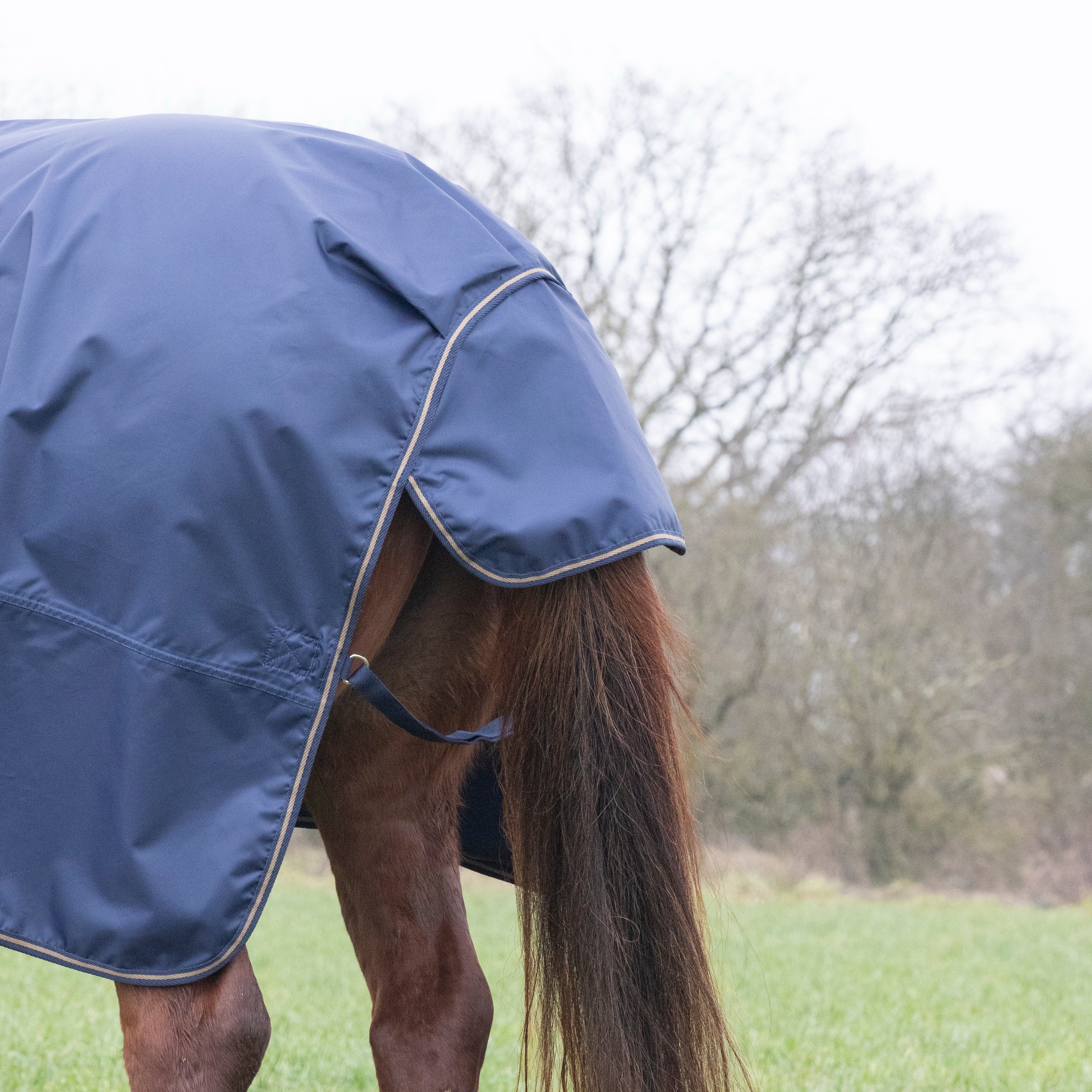 Shires Typhoon 100g Combo Turnout Rug In Navy