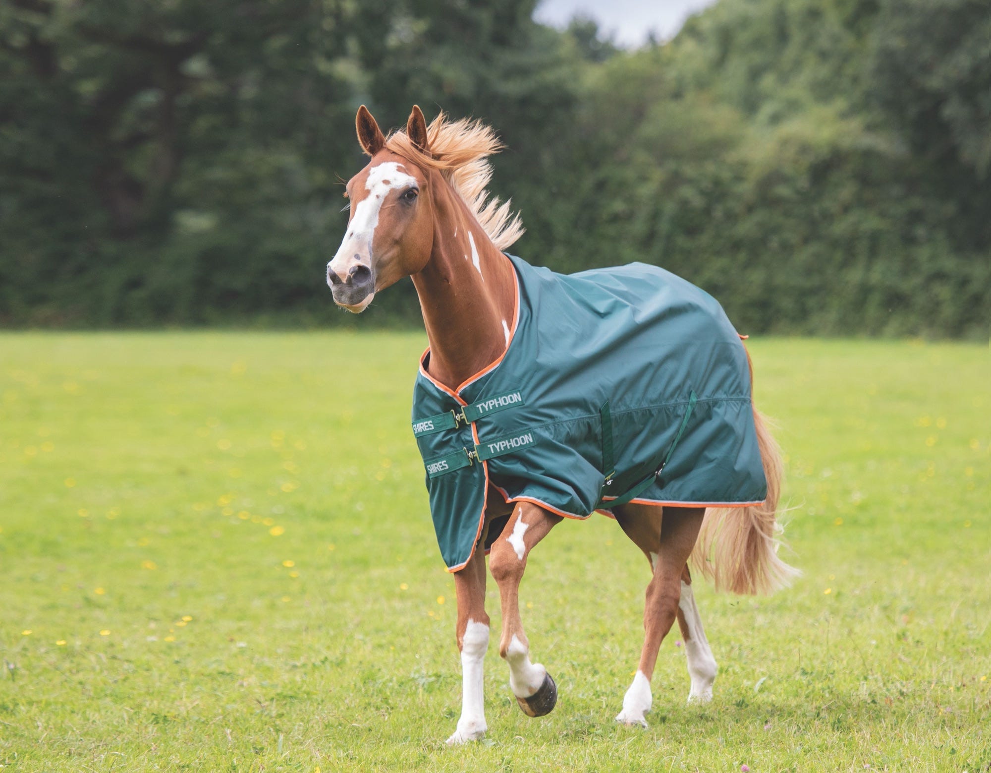 Typhoon Lite Turnout Rug