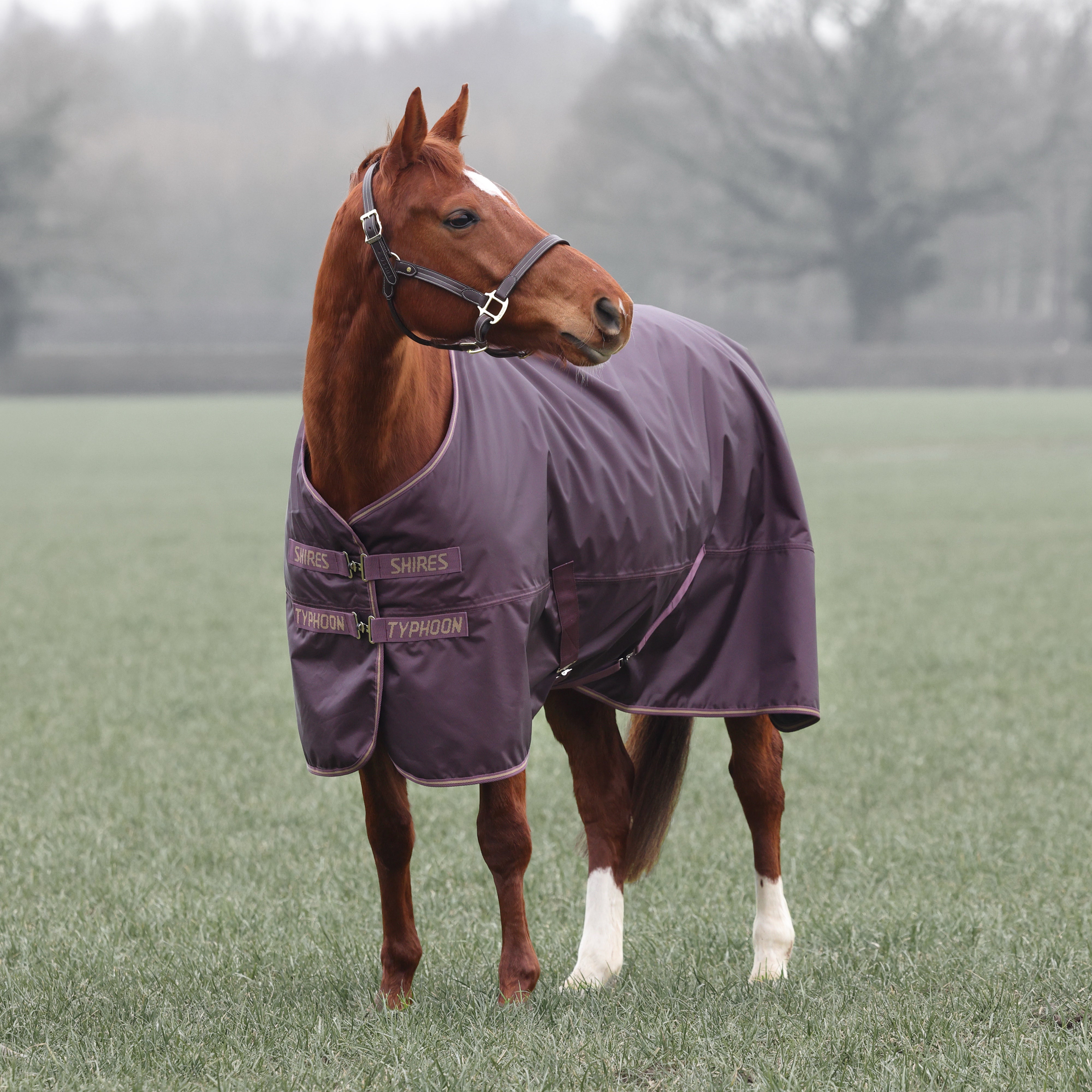 Typhoon 100 Turnout Rug
