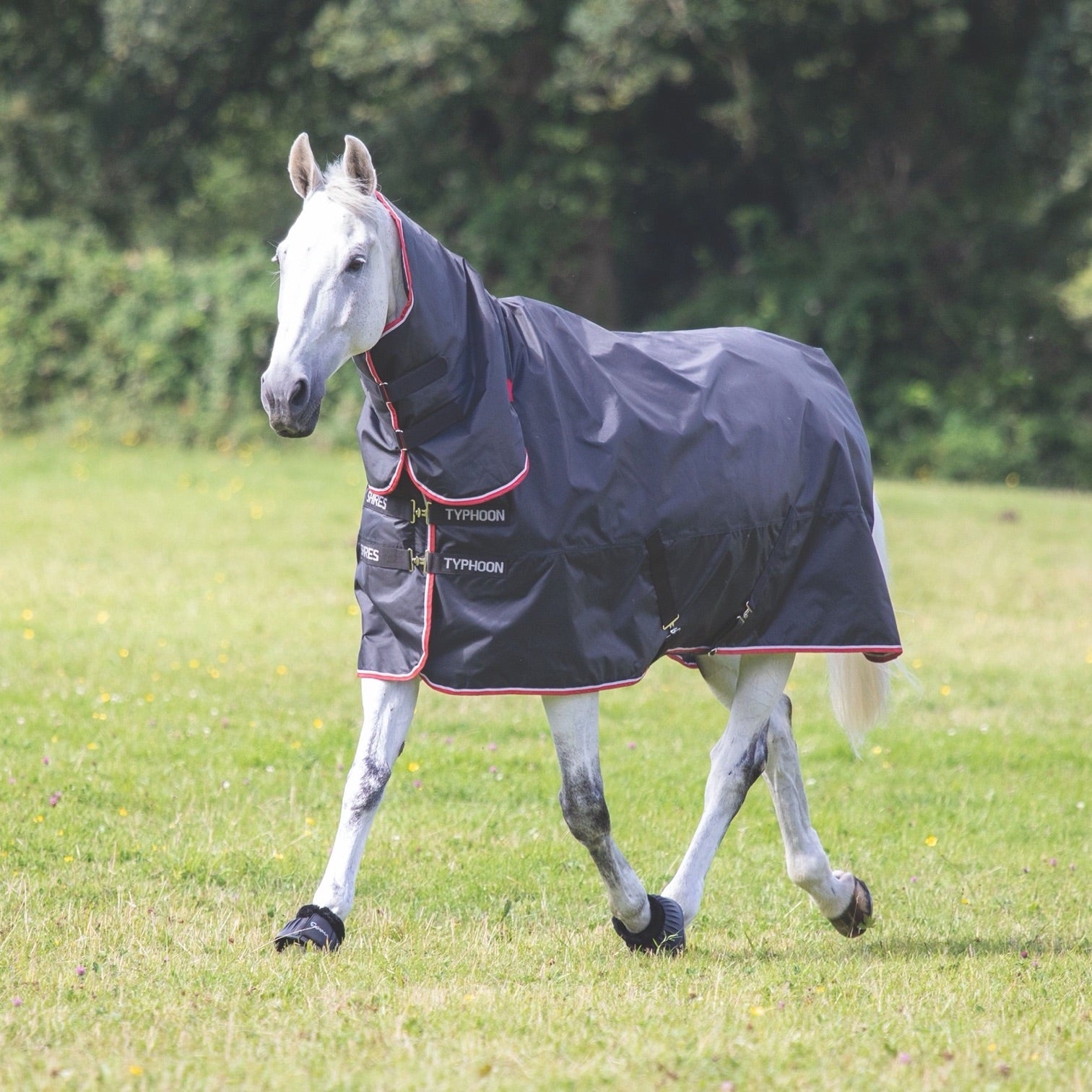 Typhoon 200 Combo Turnout Rug
