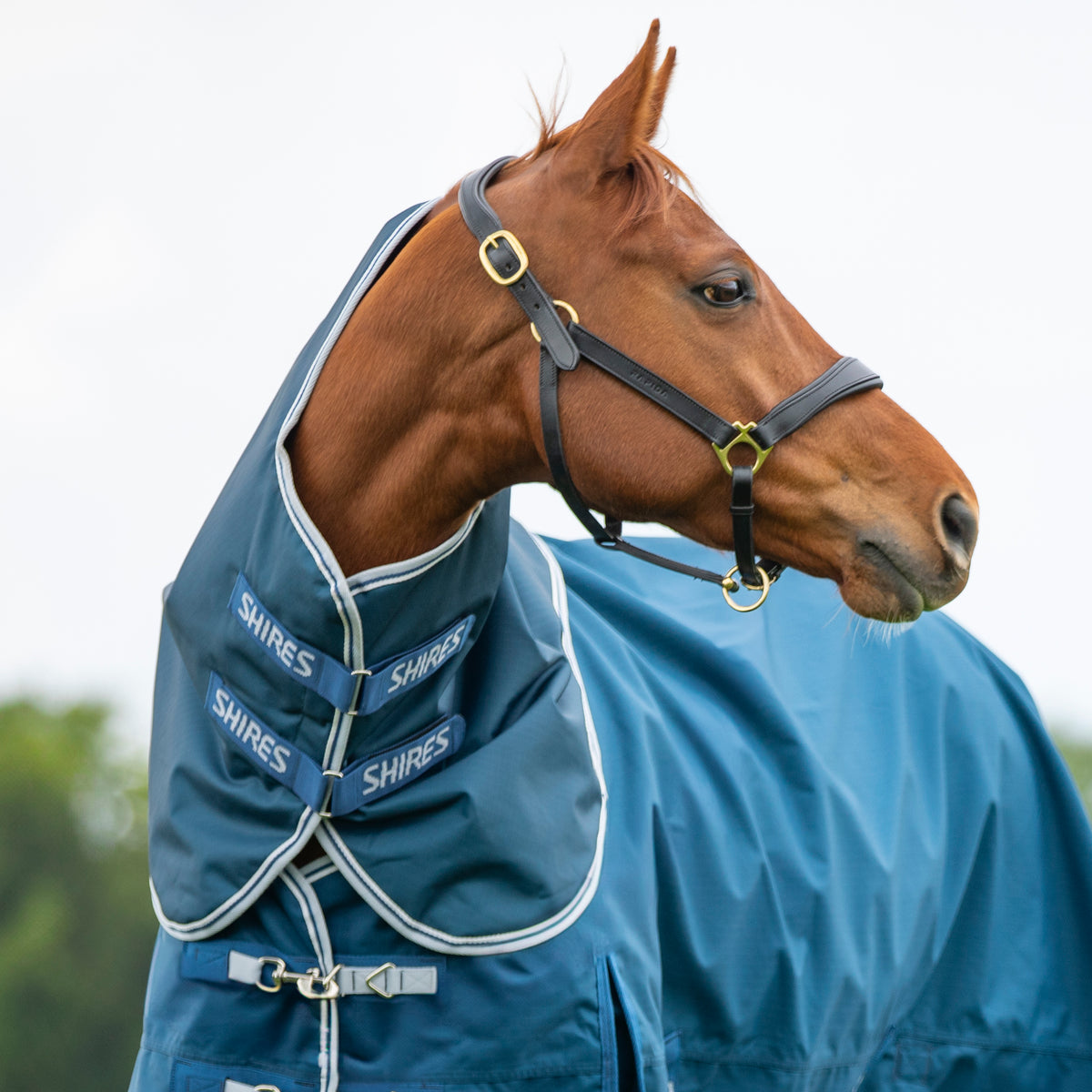 50g Turnout Rugs