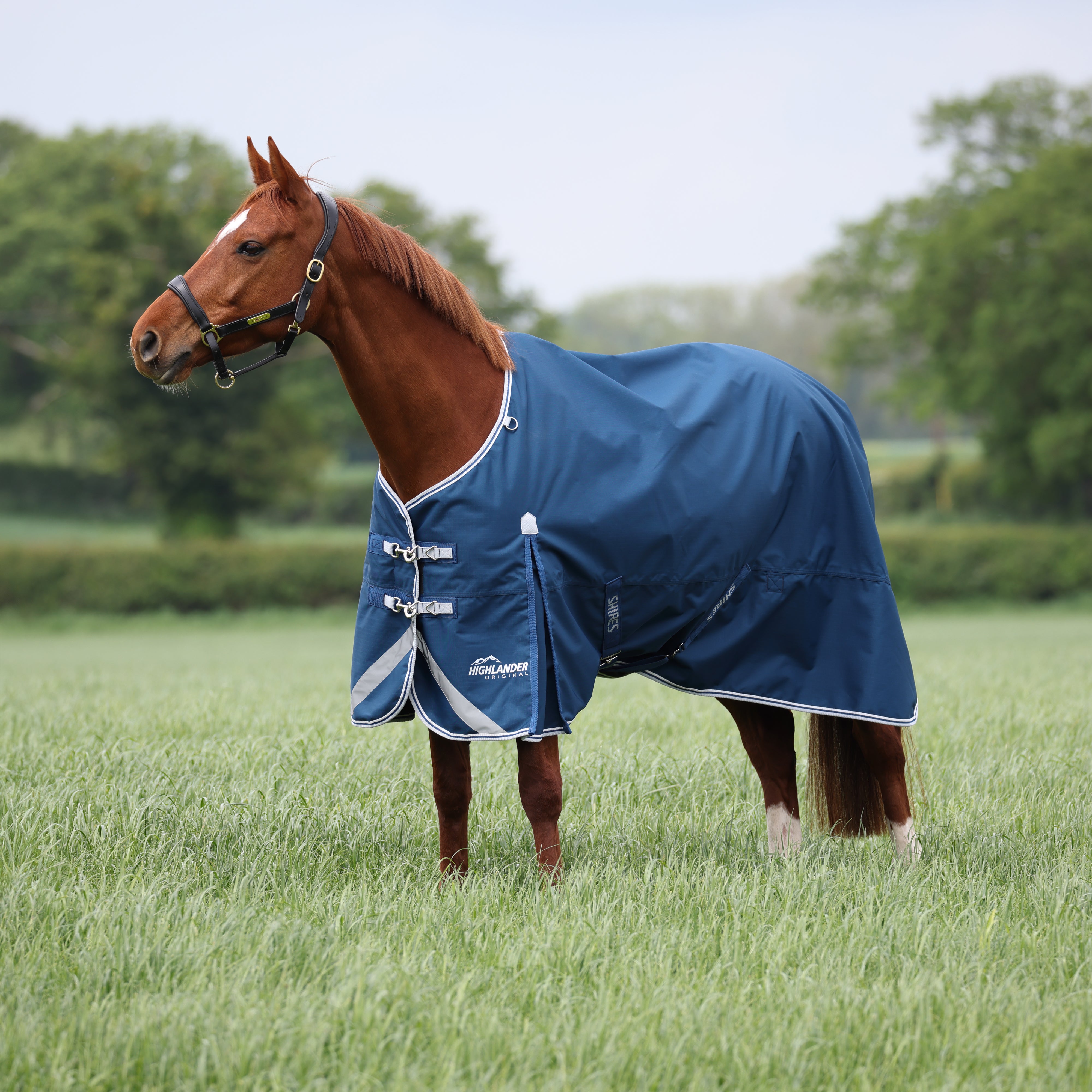 Highlander Original 50 Turnout Rug