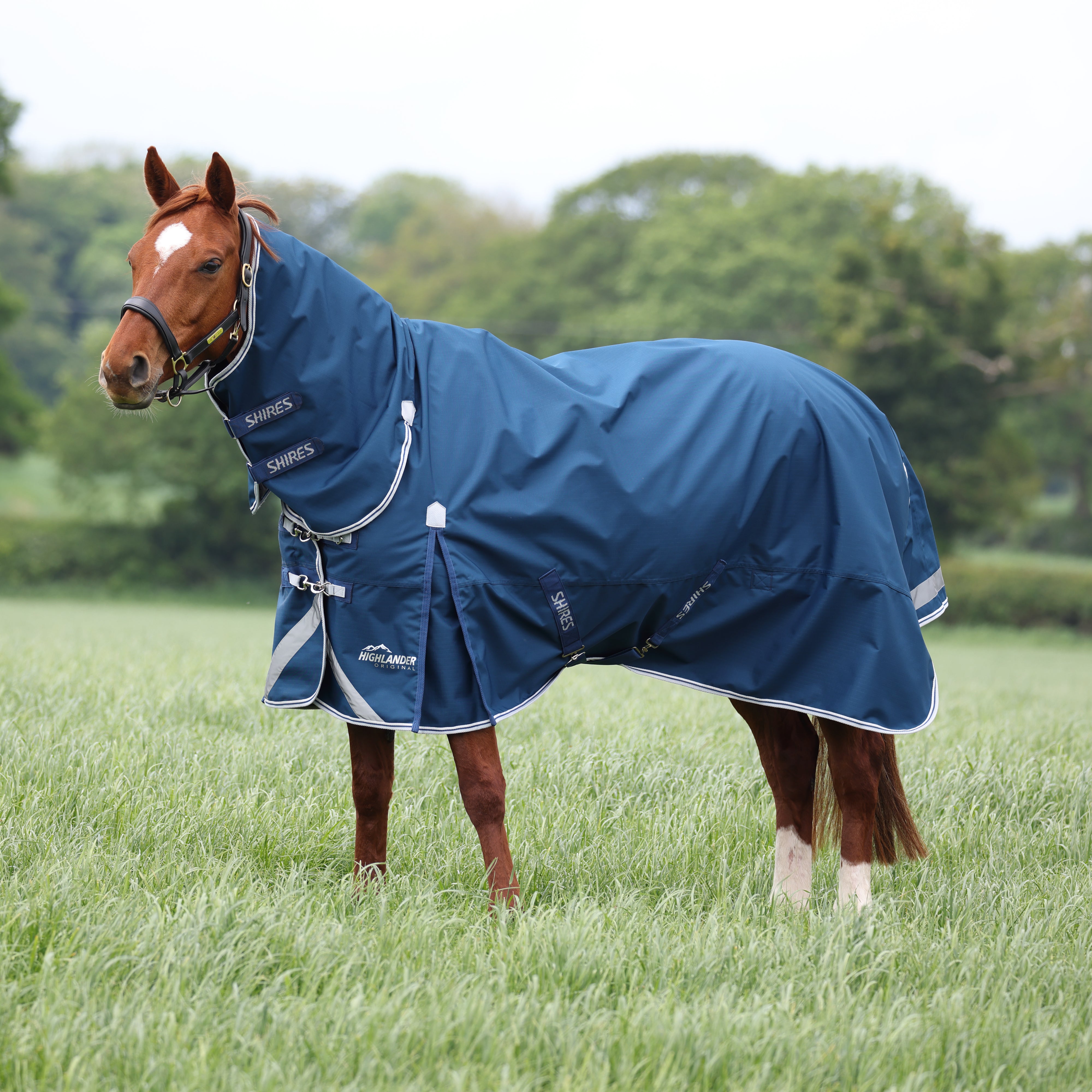 Highlander Original 50 Combo Turnout Rug