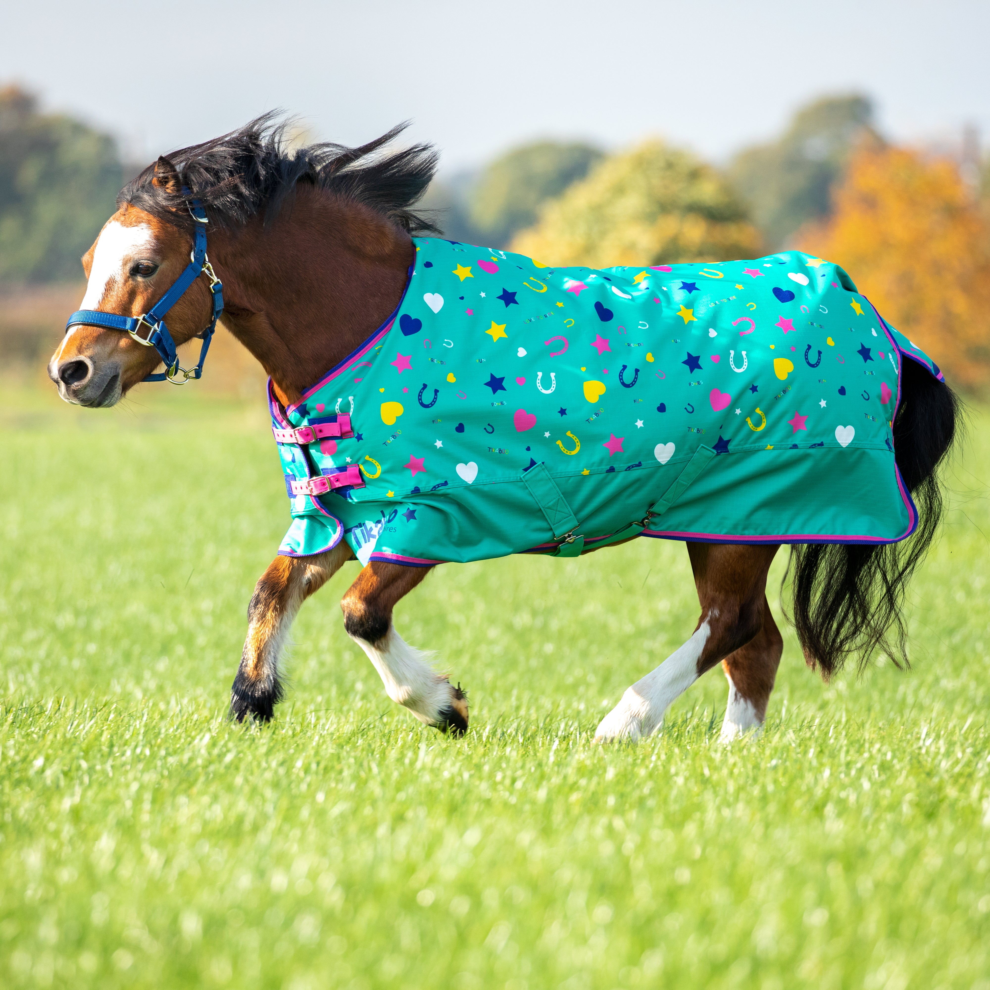 Tikaboo Lite Turnout Rug