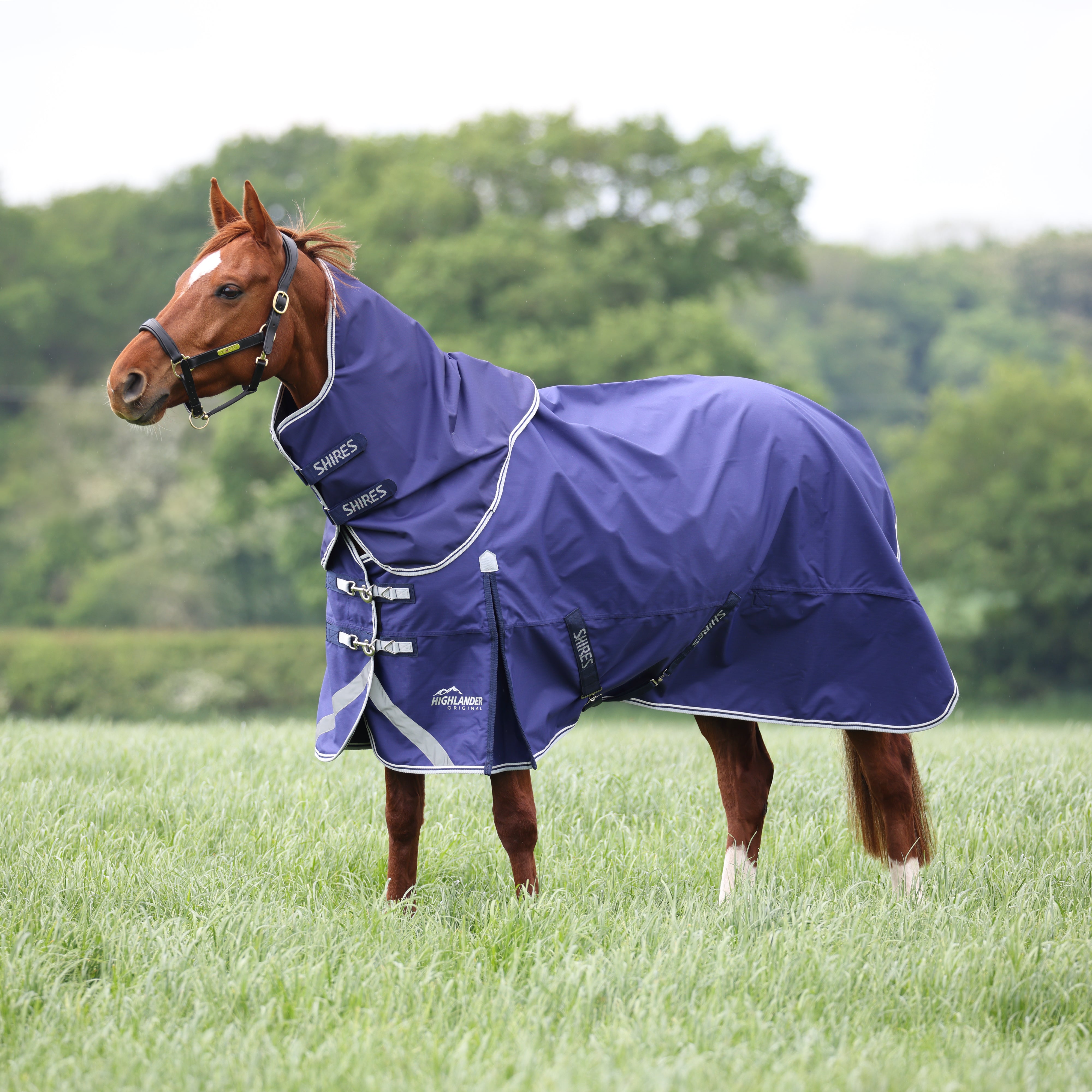 Highlander Original Lite Turnout Rug & Neck Set