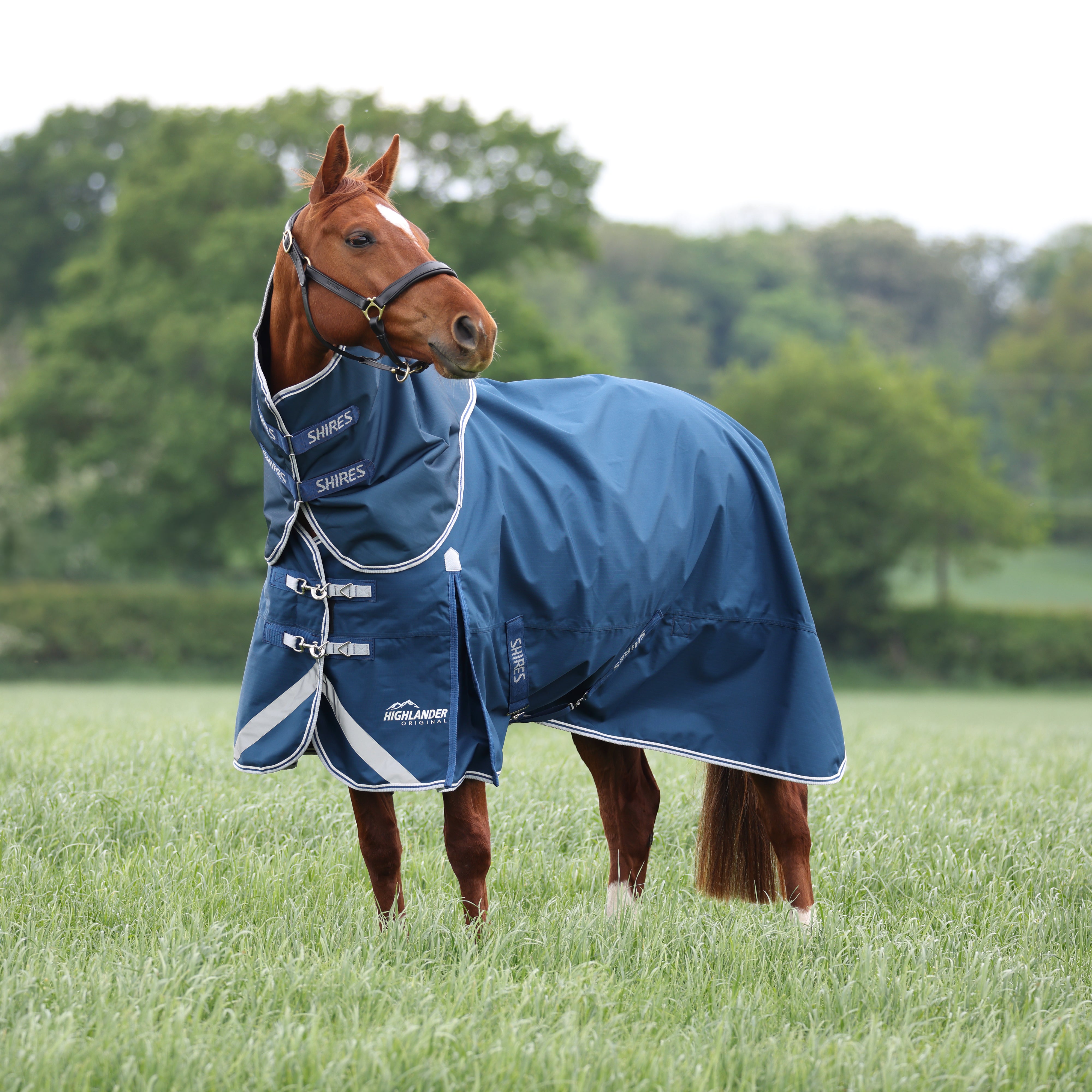 Highlander Original 50 Turnout Rug & Neck Set