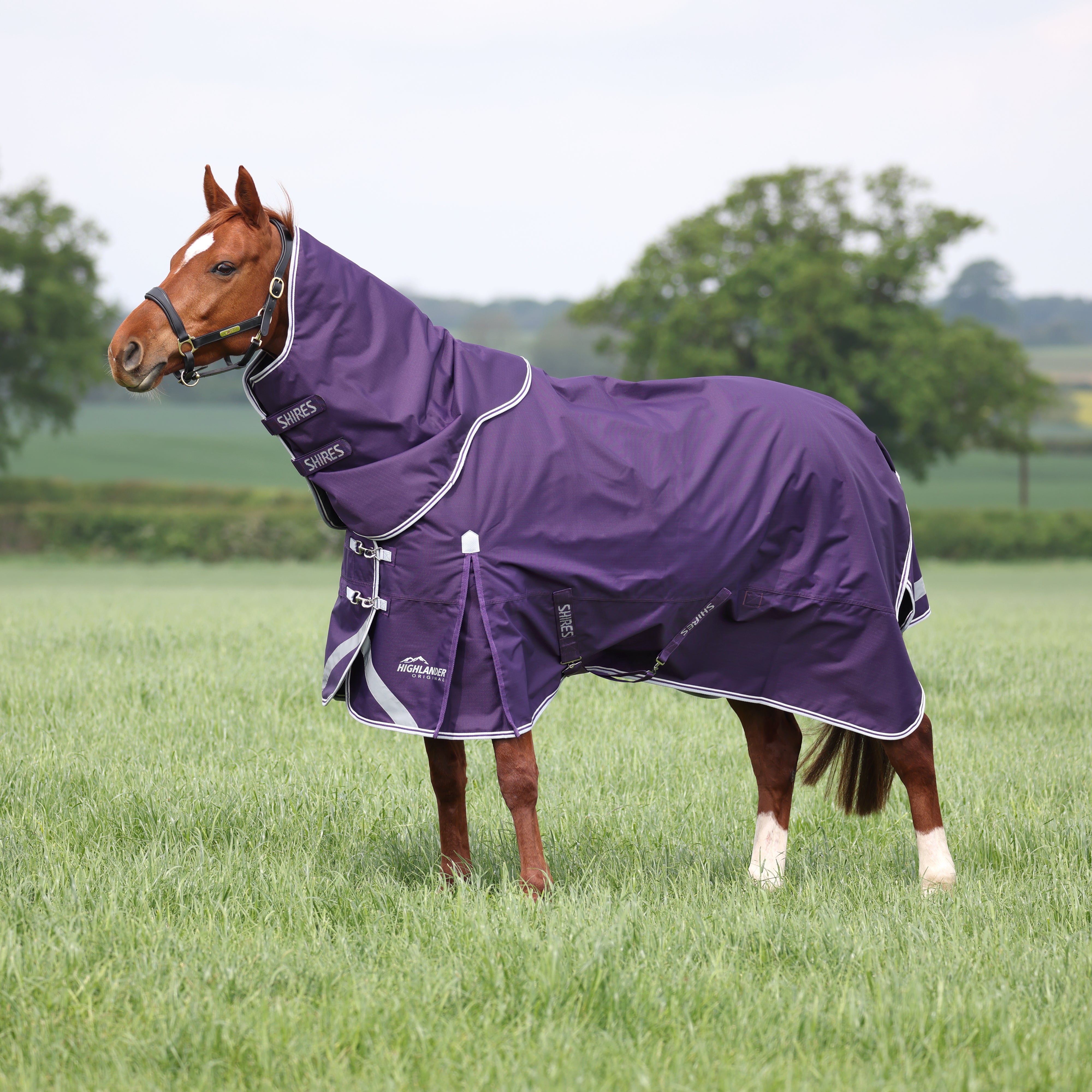 Highlander Original 100 Turnout Rug & Neck Set