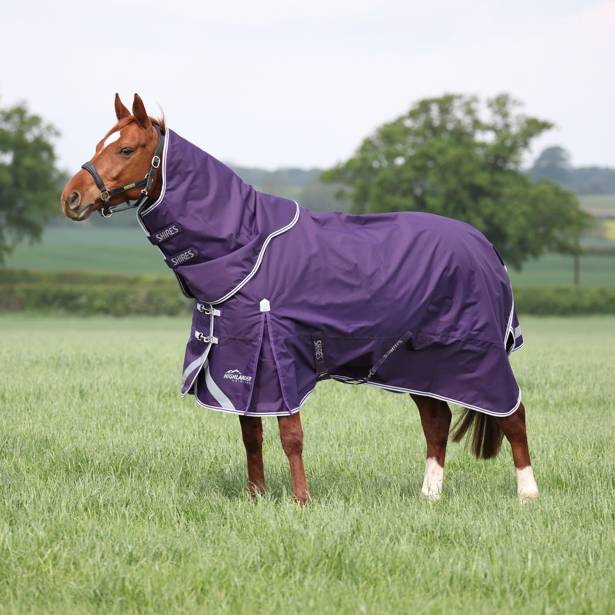 100g Turnout Rugs