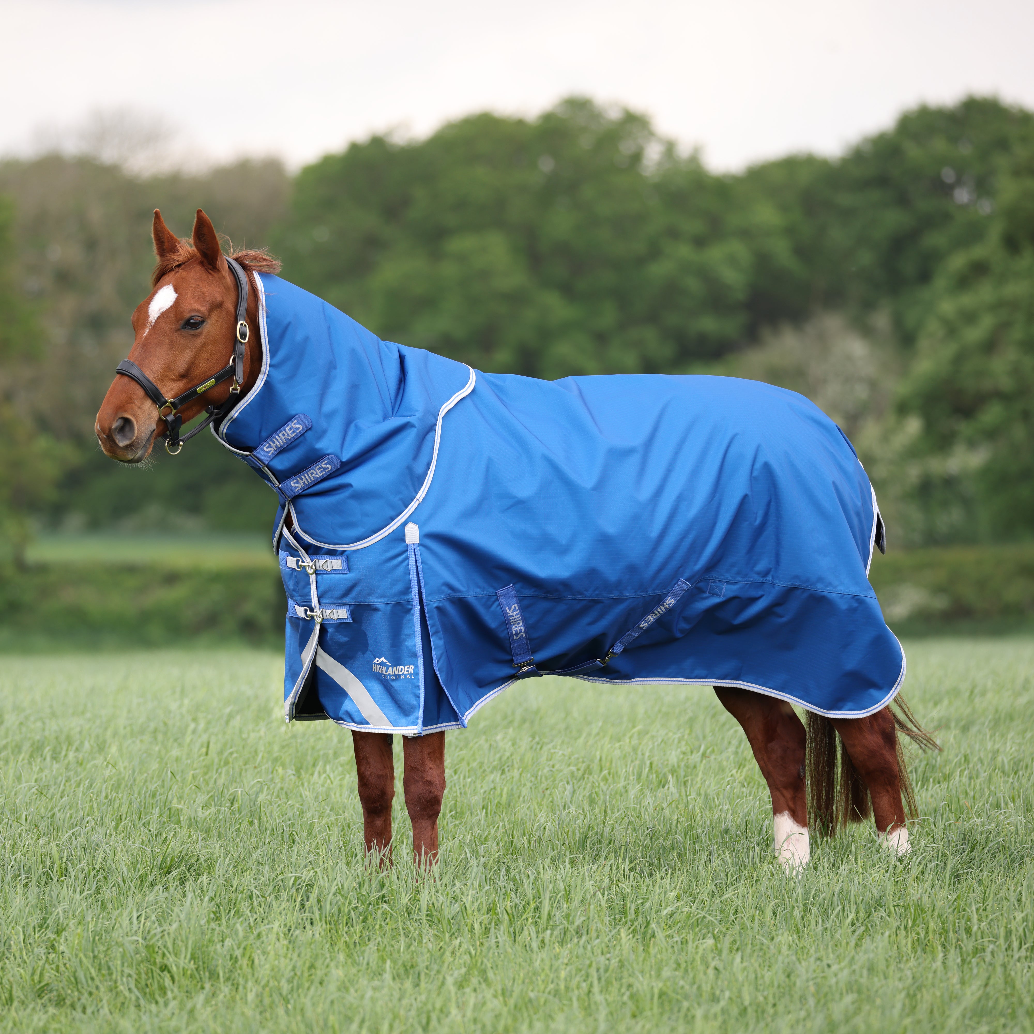 Highlander Original 200 Turnout Rug & Neck Set