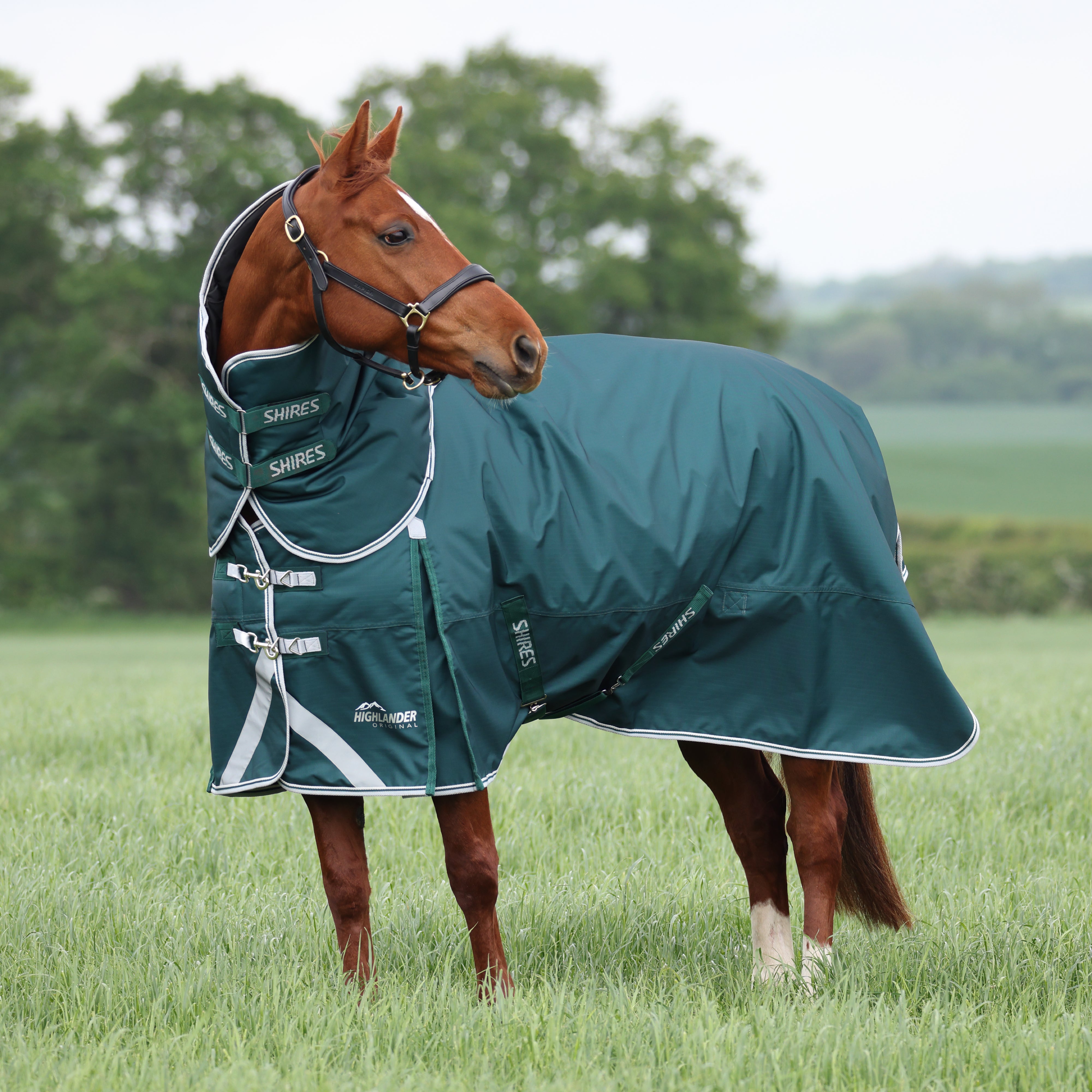 Highlander Original 300 Turnout Rug & Neck Set