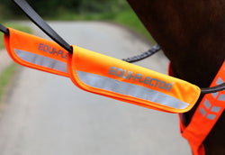 EQUI-FLECTOR® Bridle Bands