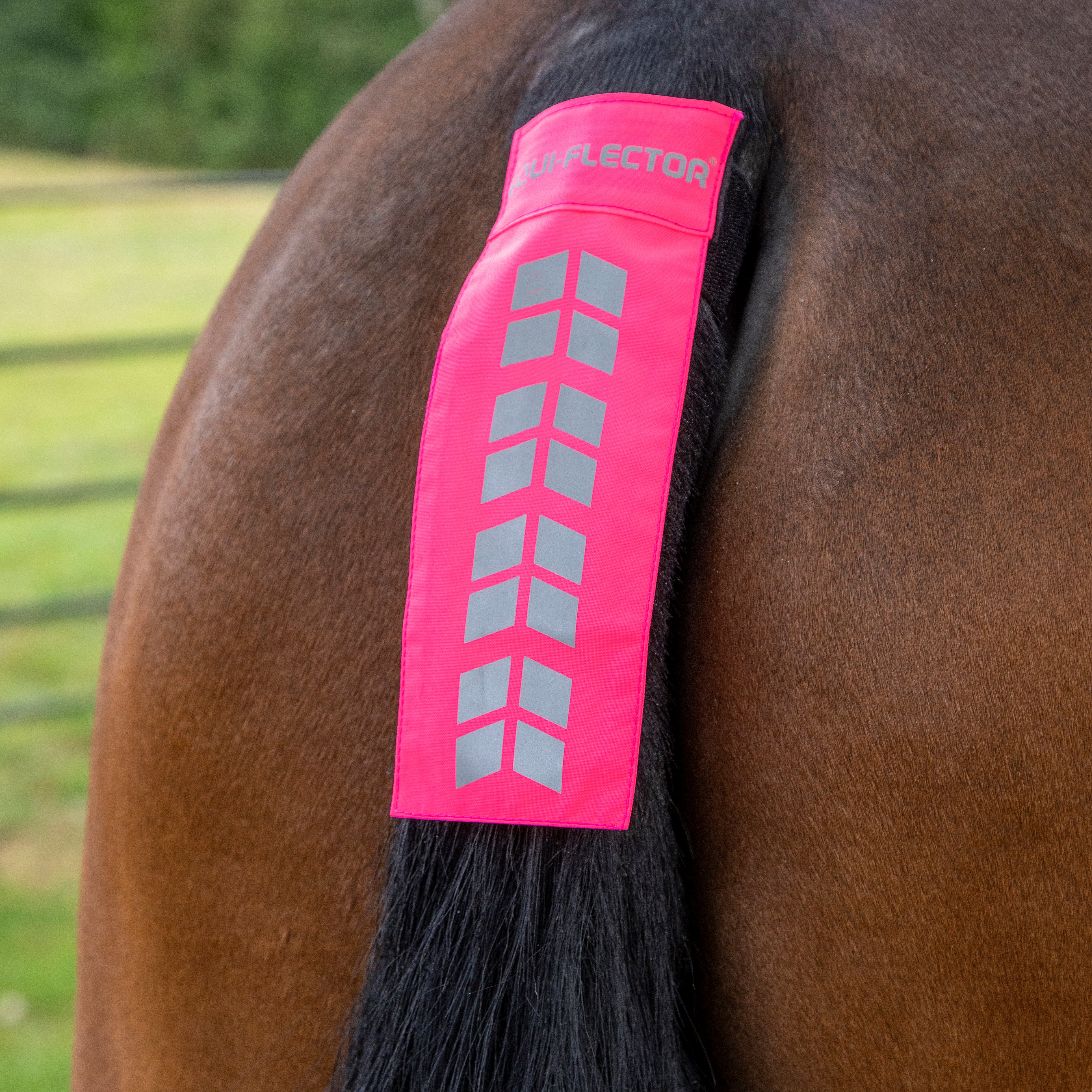 EQUI-FLECTOR® Tail Strap