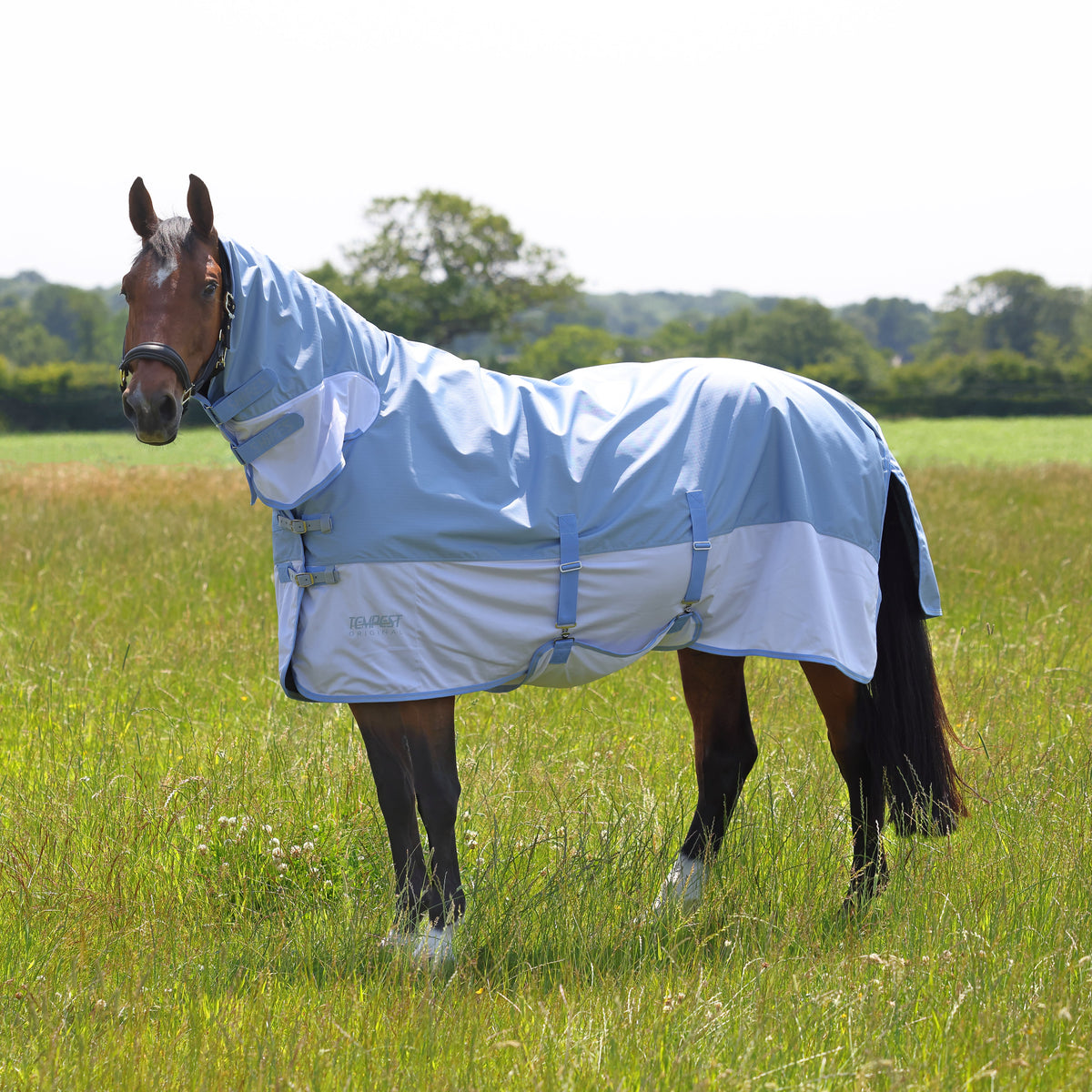 Horse Rugs | Turnout, Stable & Fly Rugs