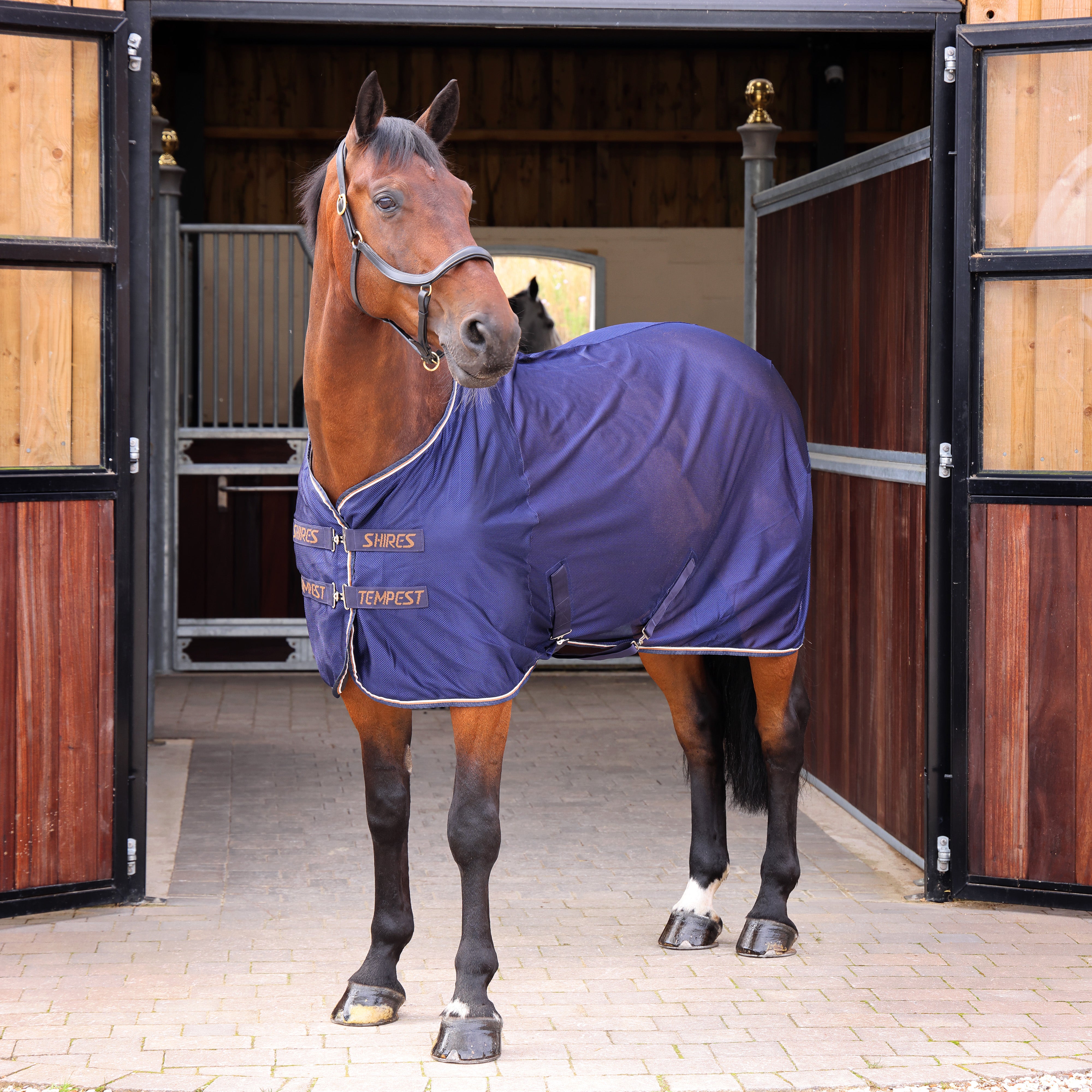 Tempest Original Mesh Cooler Rug