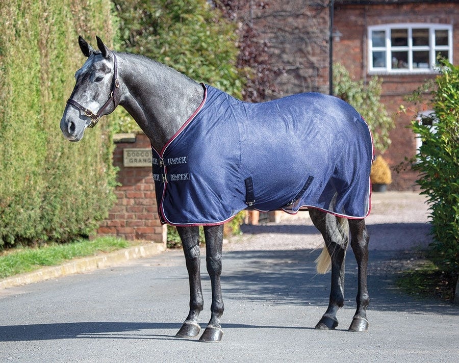 Tempest Original Mesh Cooler Rug