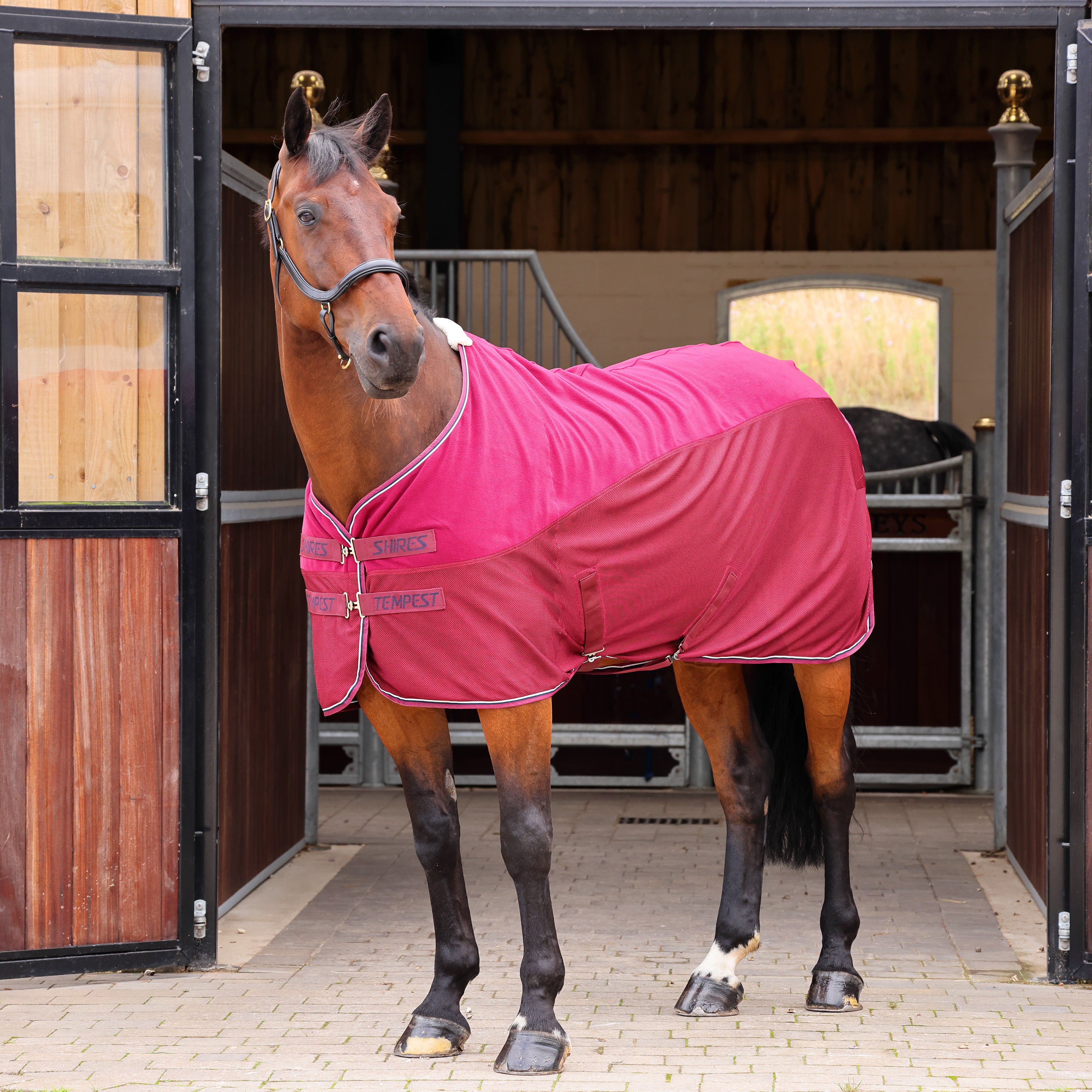 Tempest Original Fleece/Mesh Cooler Rug