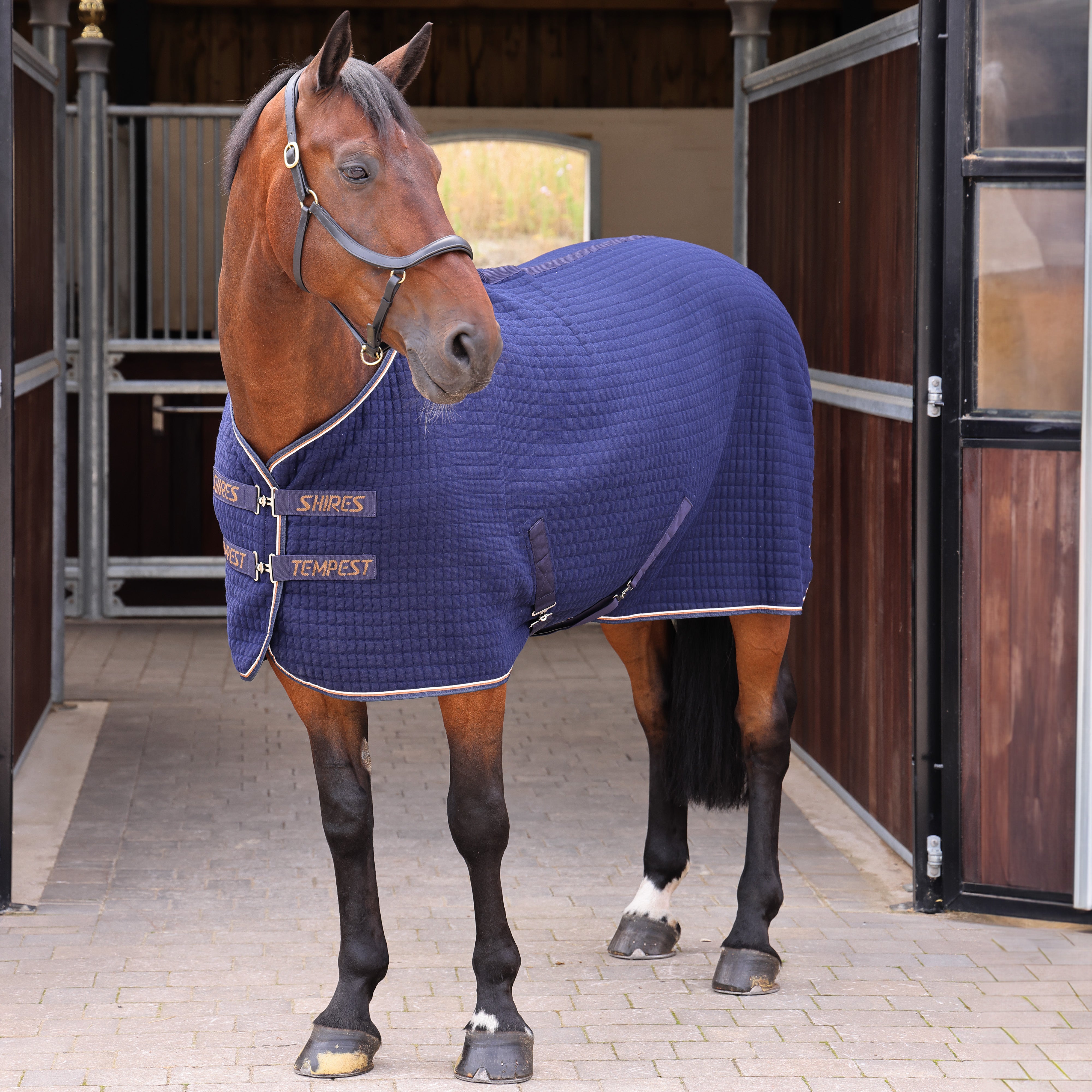 Tempest Original Tech Cooler Rug