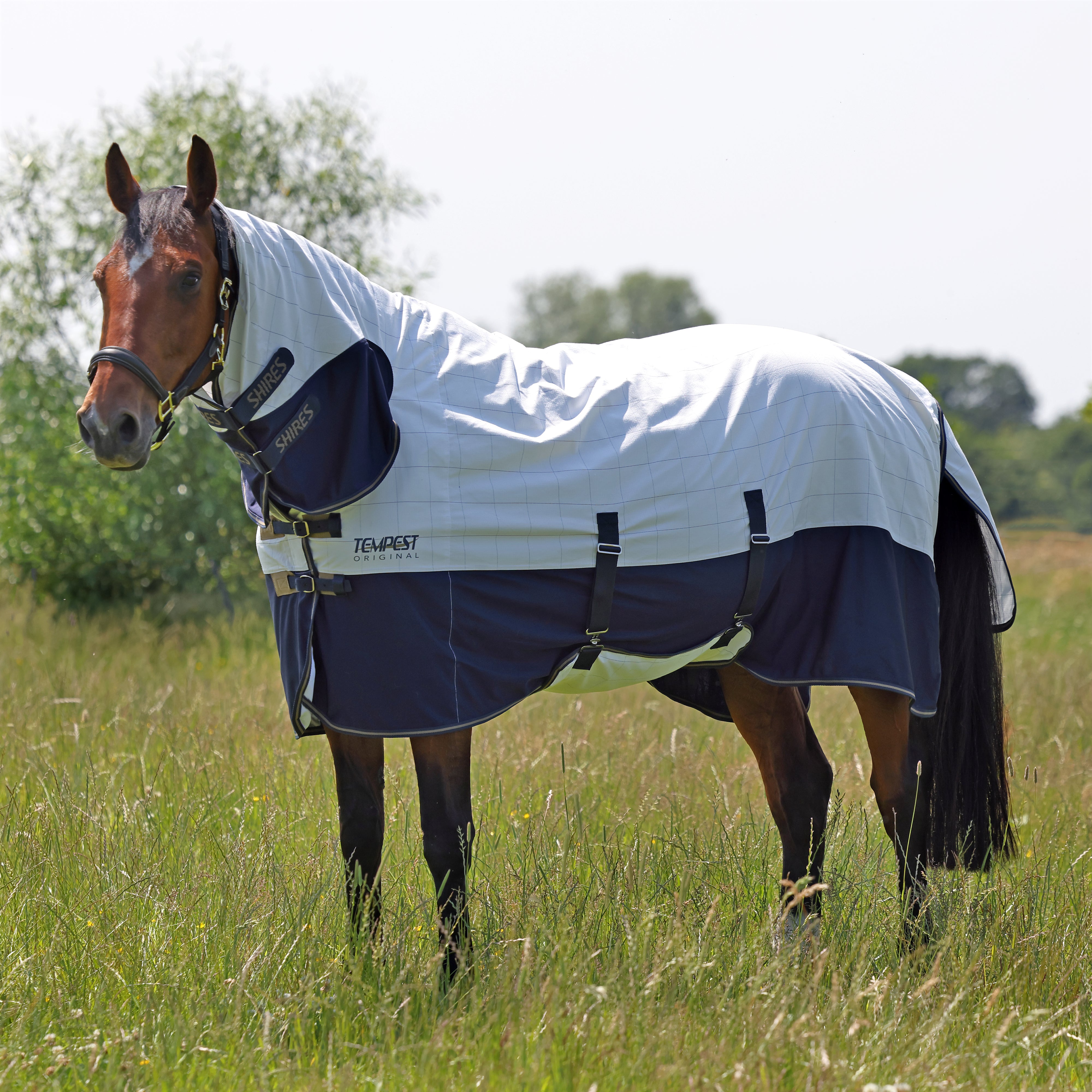 Shires Tempest Original Summer Shield with Mesh