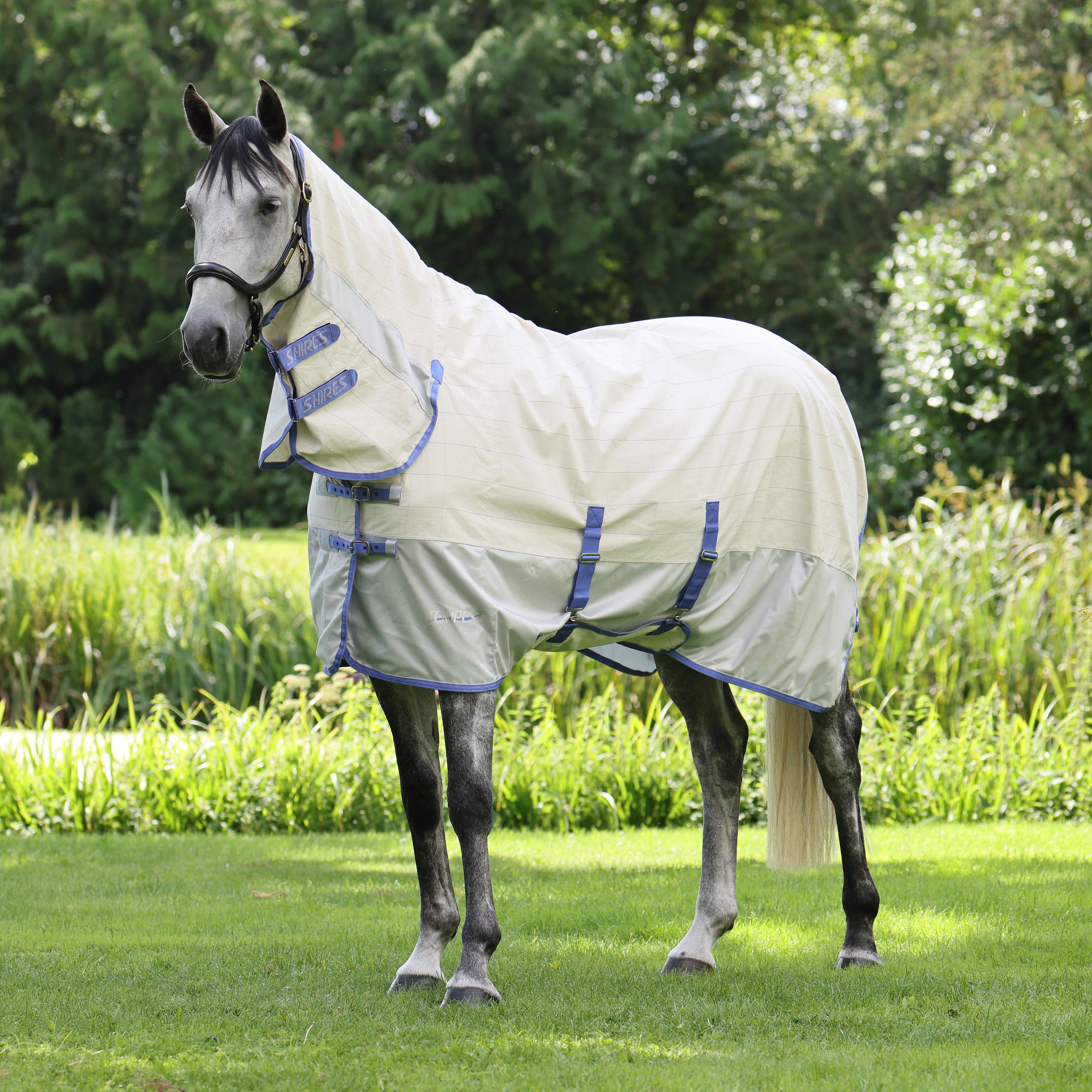 Tempest Original Summer Shield Rug with Mesh