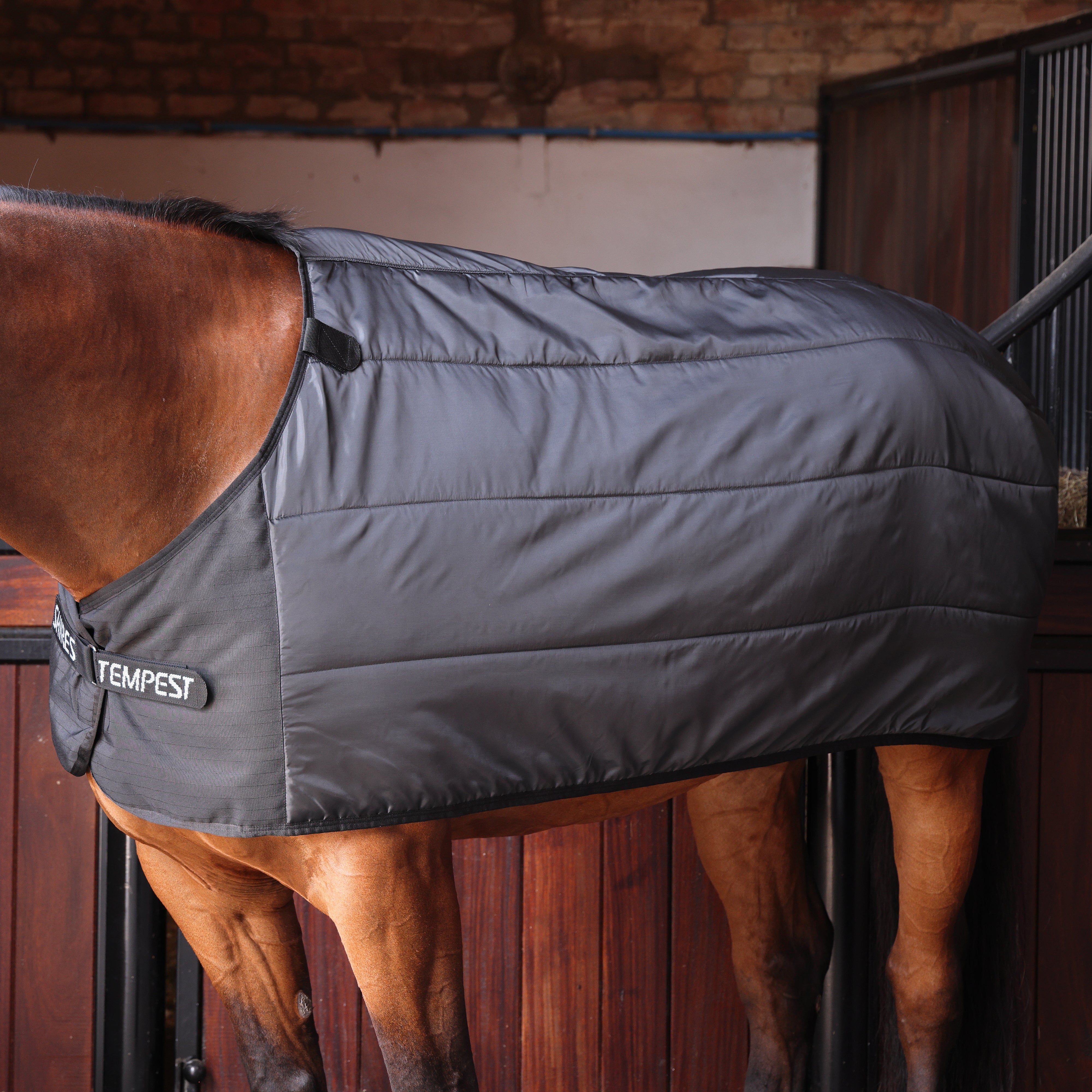 Tempest WarmaRug 100 Turnout Rug Liner
