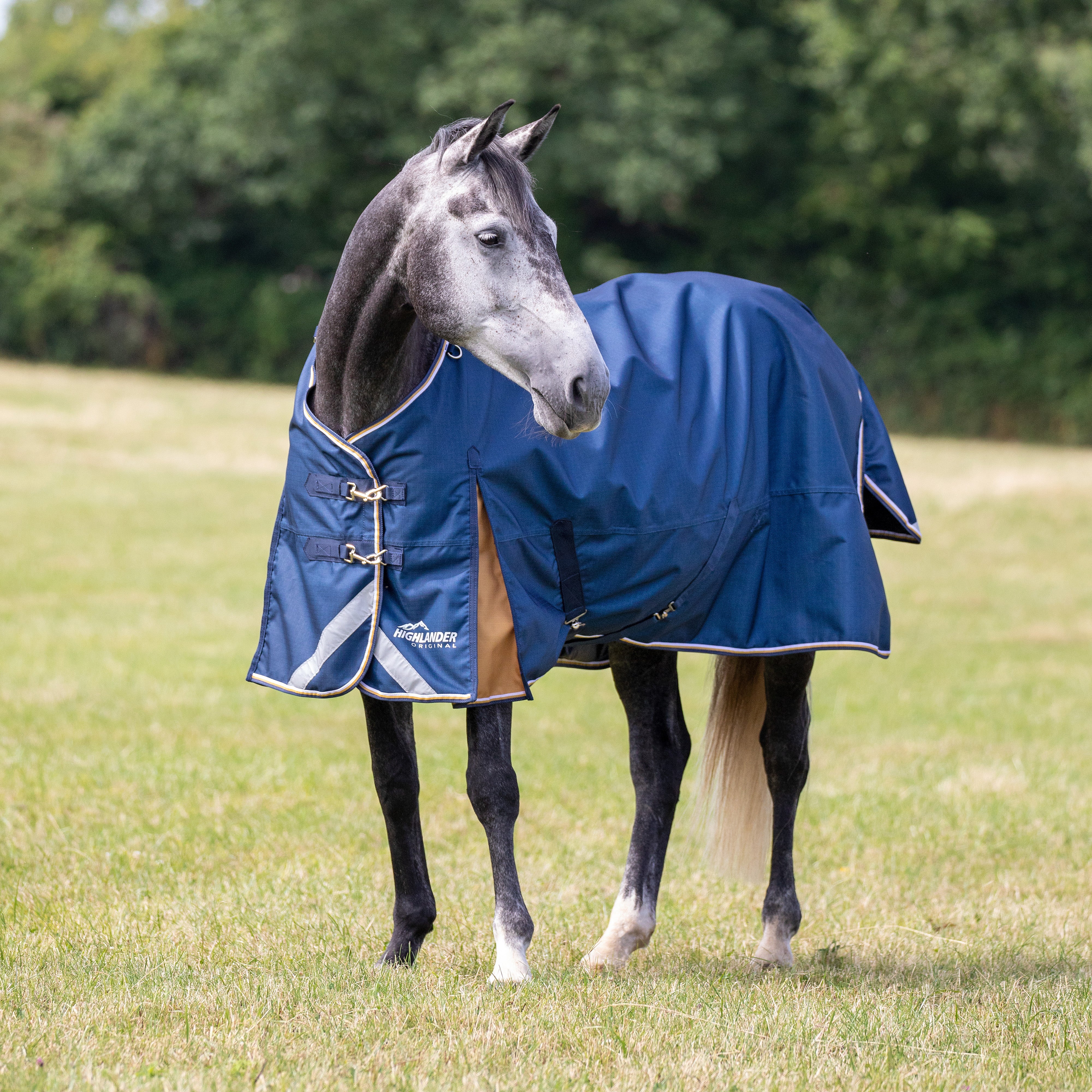 Highlander Plus Lite Turnout Rug