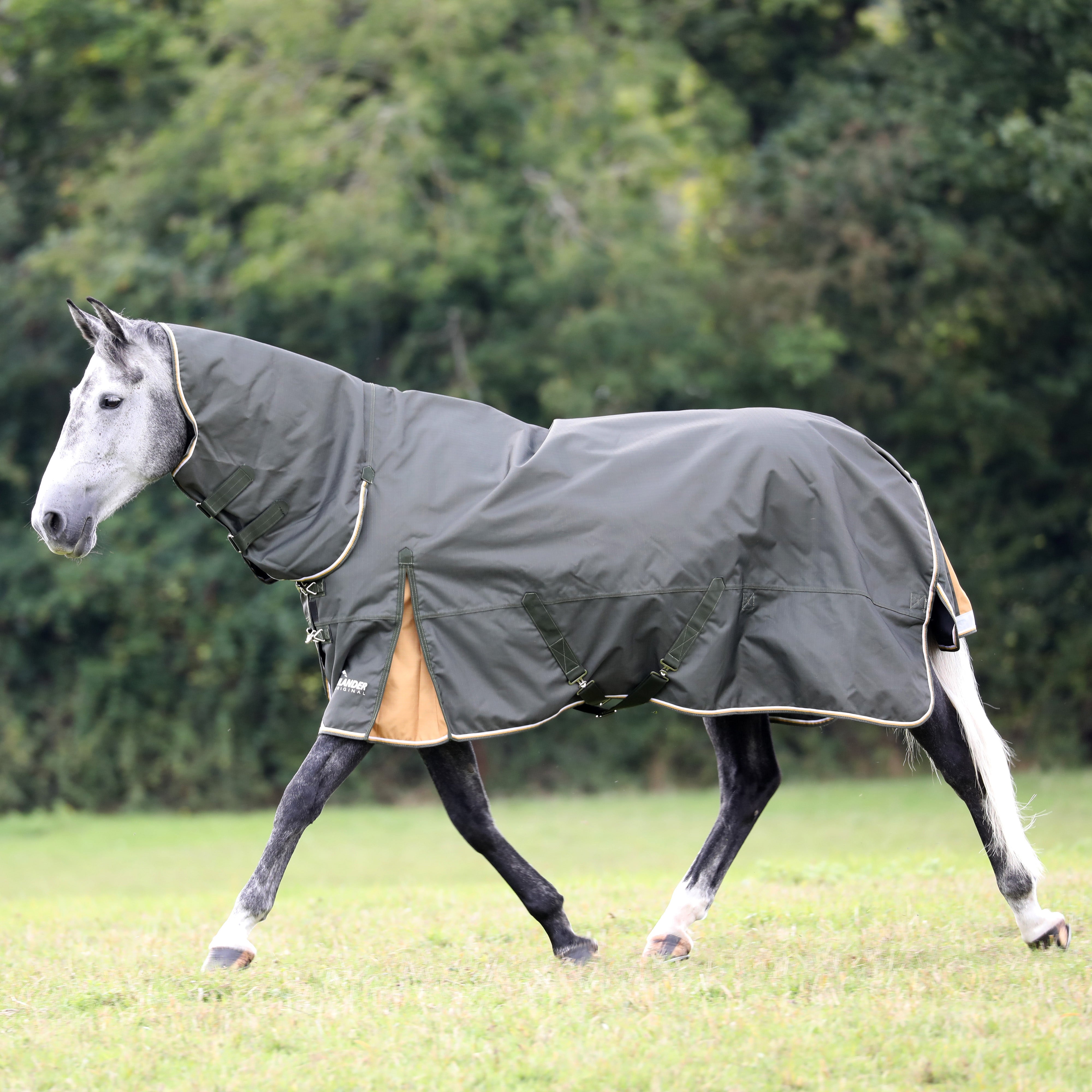 Highlander Plus 50 Combo Turnout Rug