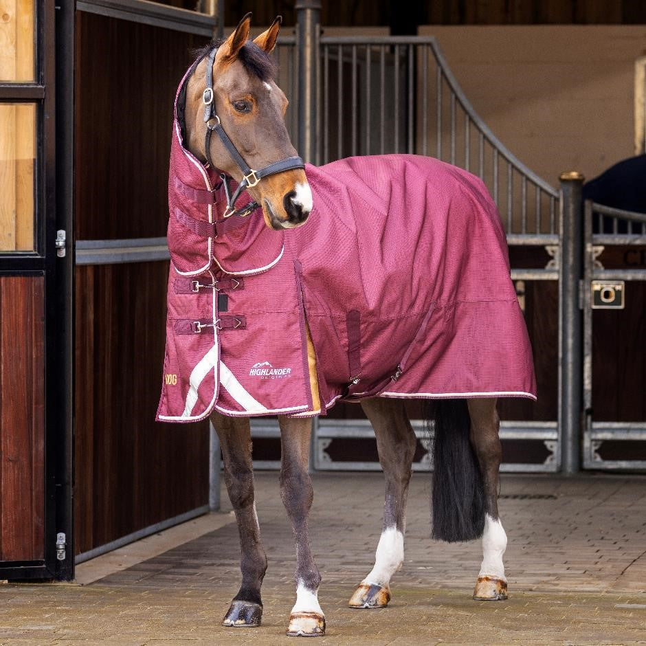 Highlander Plus 100 Combo Turnout Rug